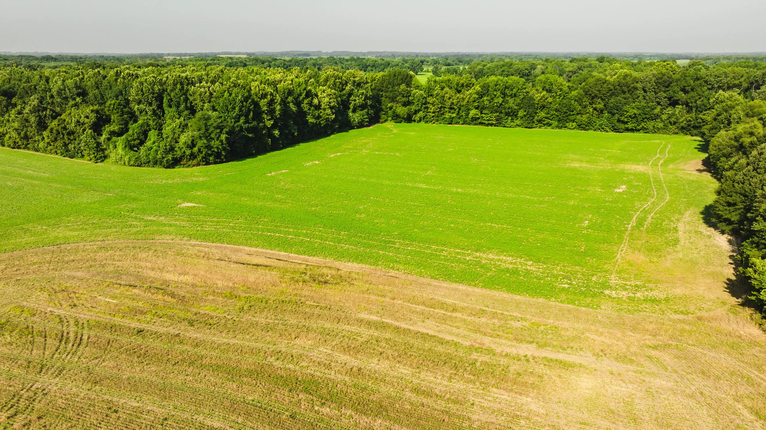 DJI_20250729084849_0015_D.jpg