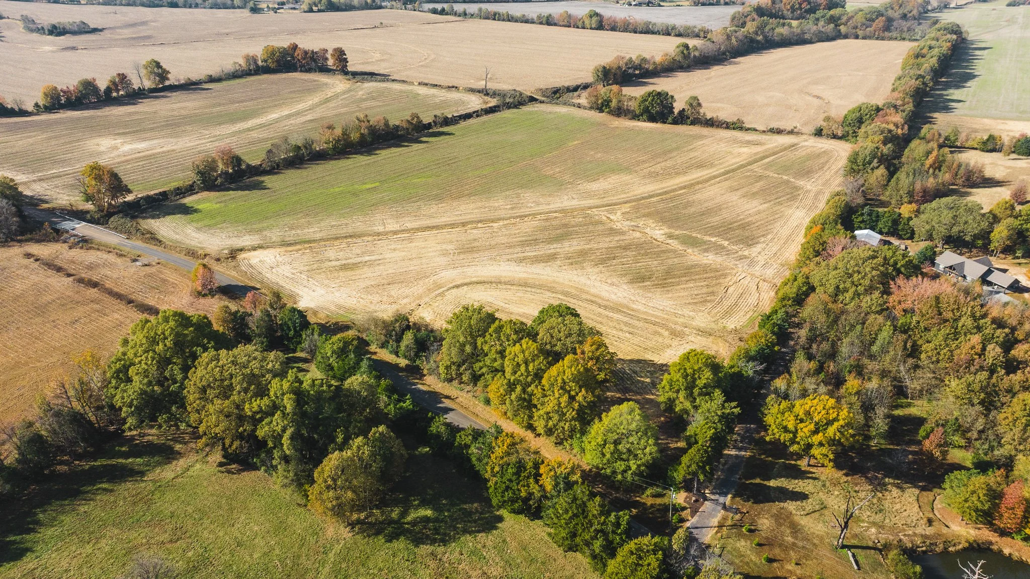 DJI_20251113095716_0013_D.jpg