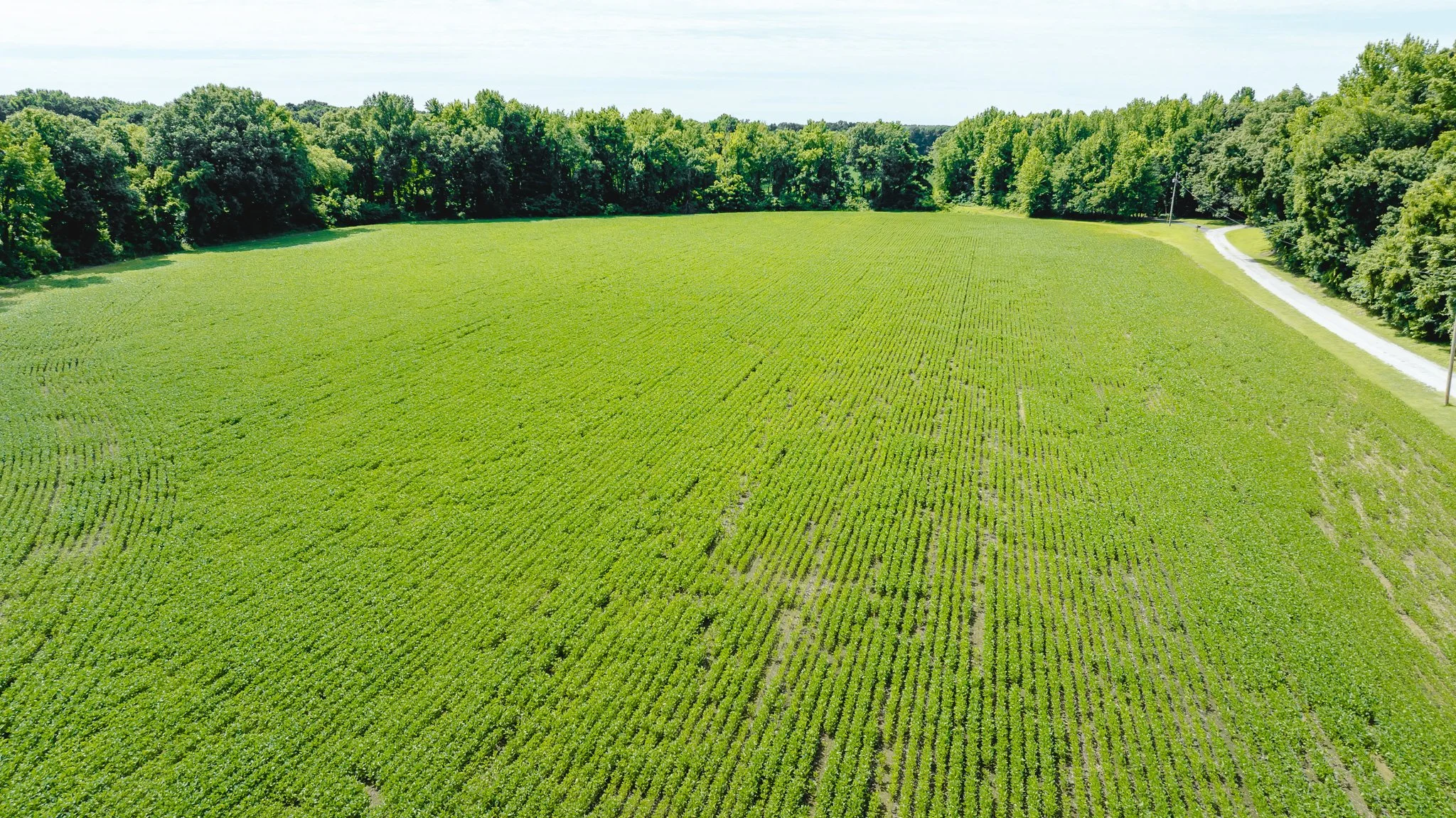 DJI_20260613180323_0006_D.jpg