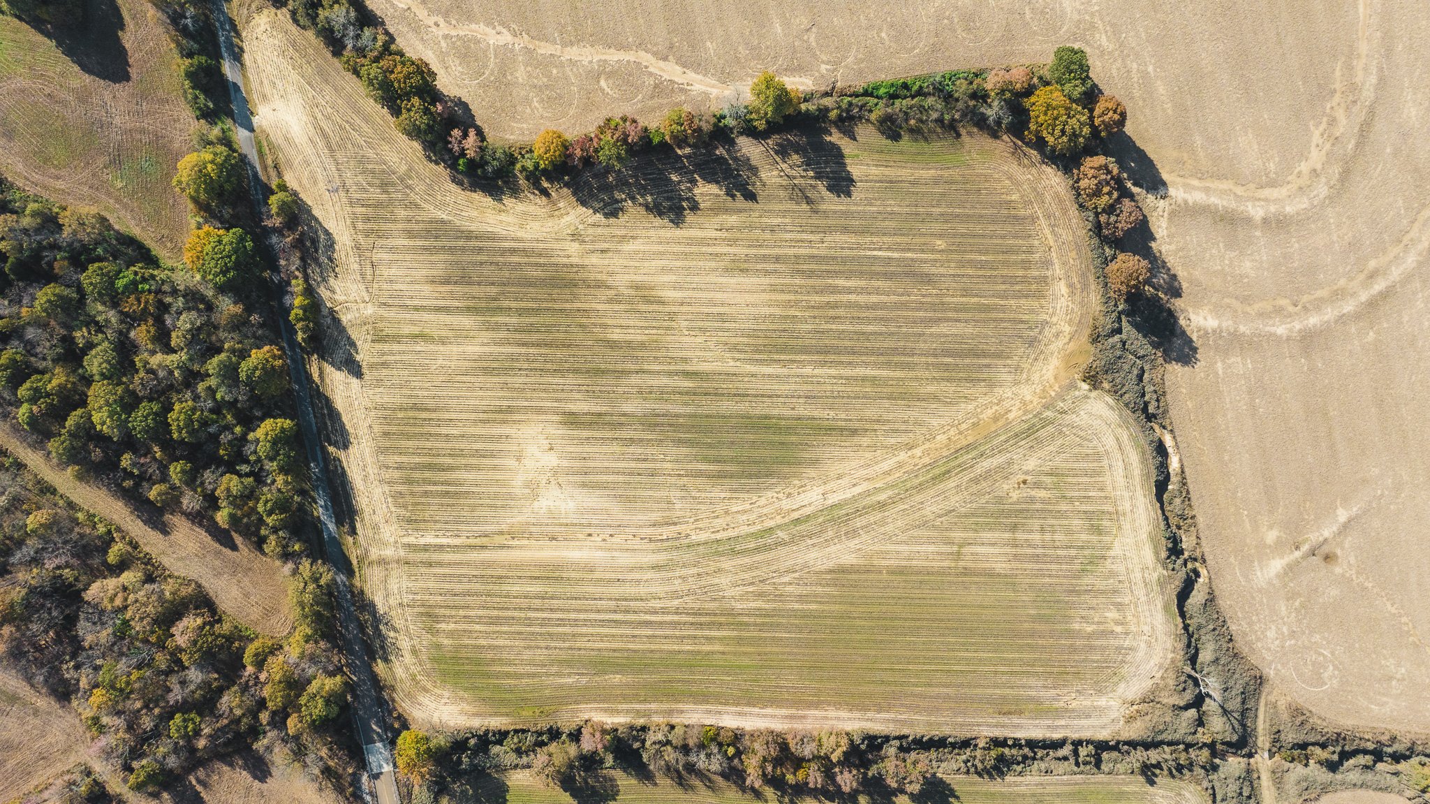 DJI_20251113095333_0004_D.jpg