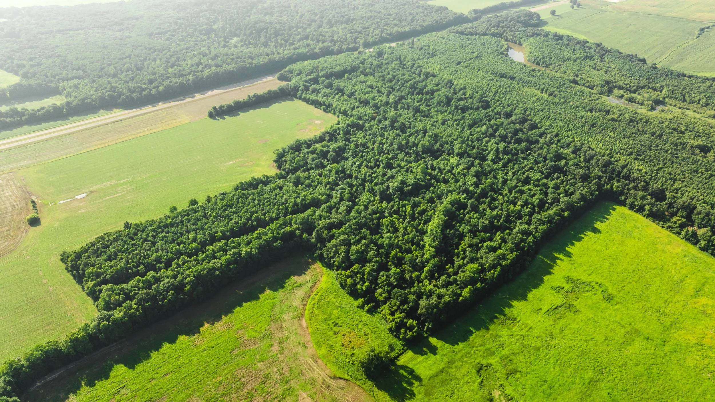 DJI_20250729084246_0005_D.jpg