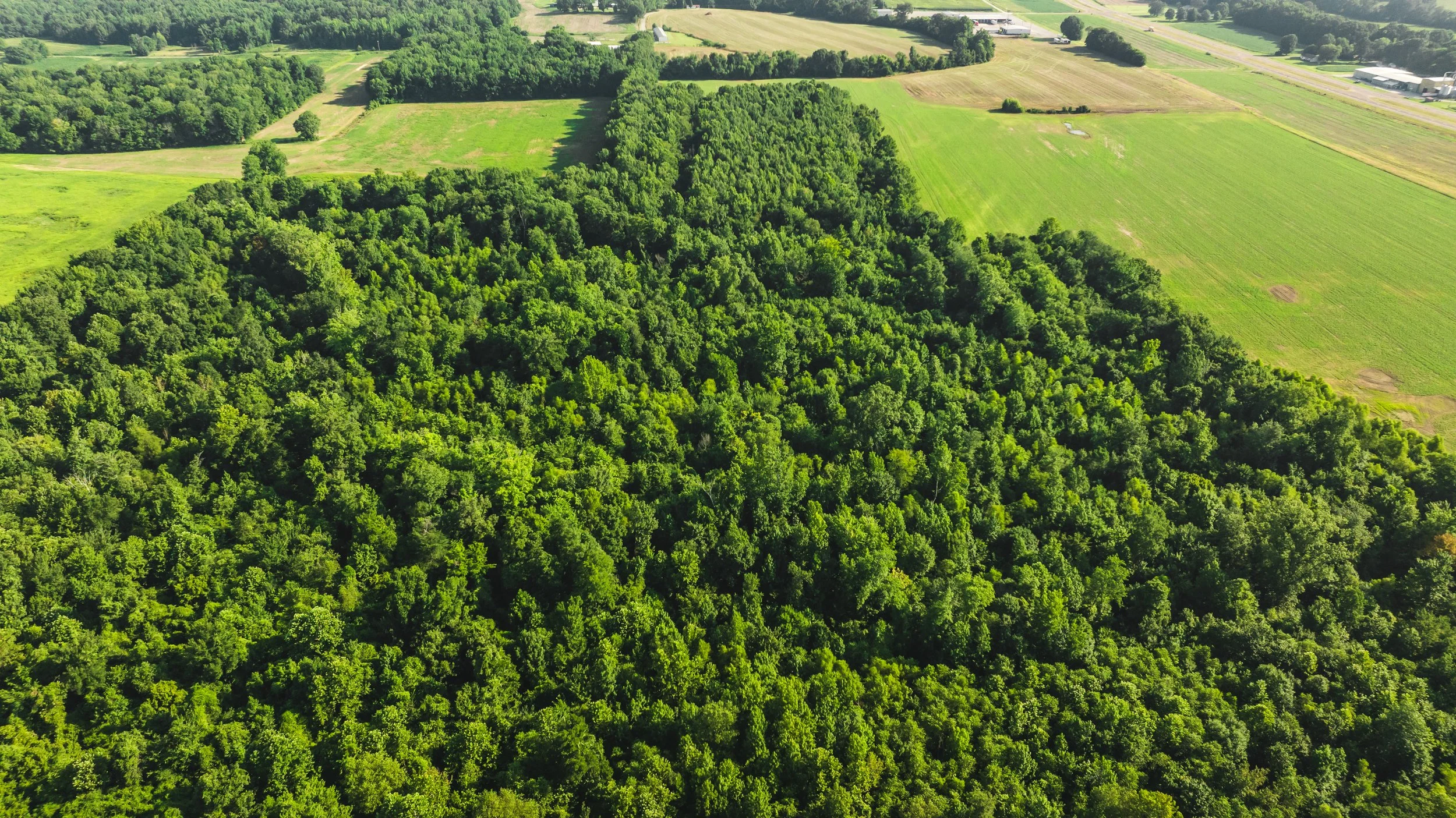 DJI_20250729084642_0010_D.jpg