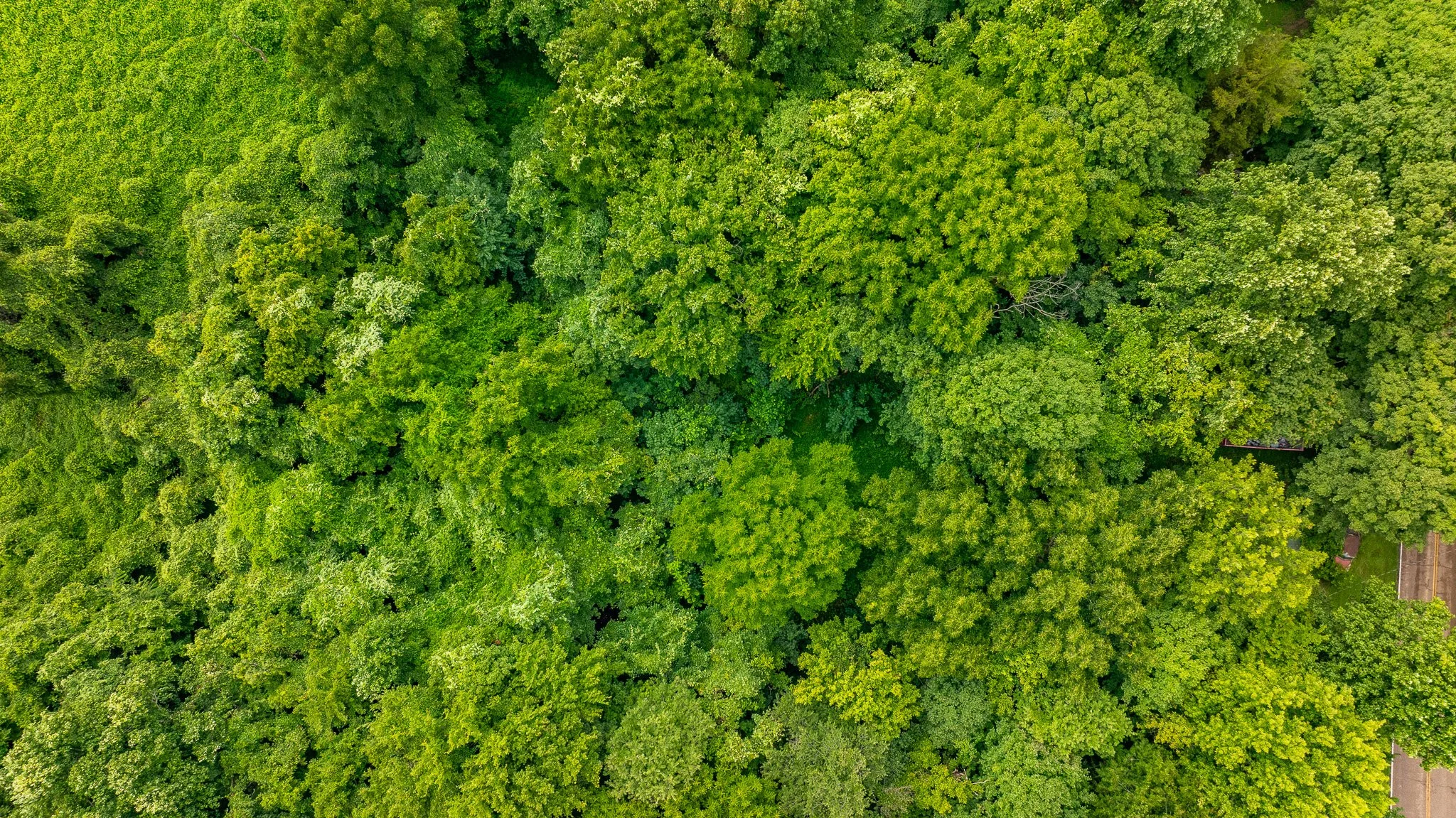 DJI_20260713172424_0162_D.jpg