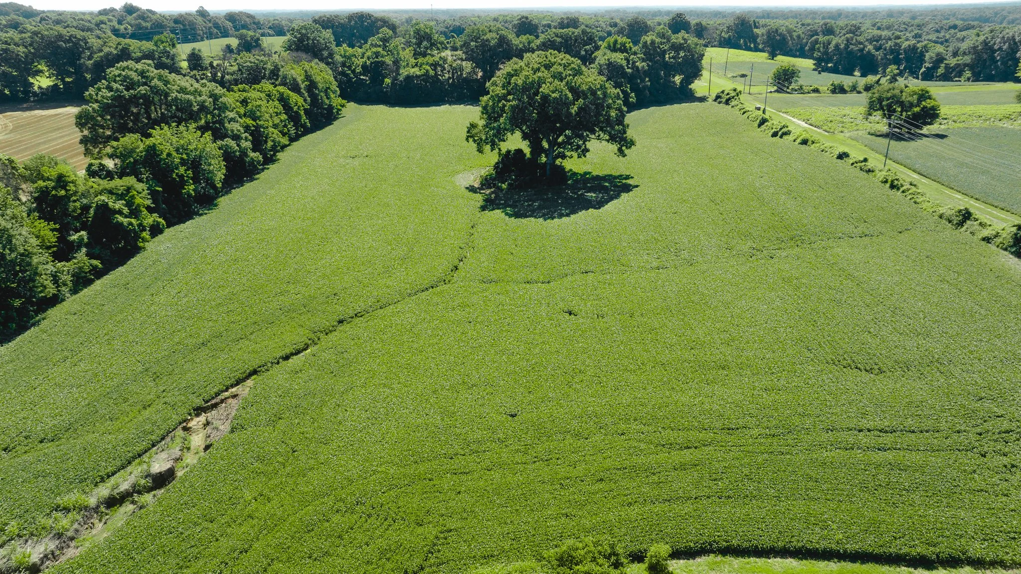 DJI_20260614170352_0016_D.jpg