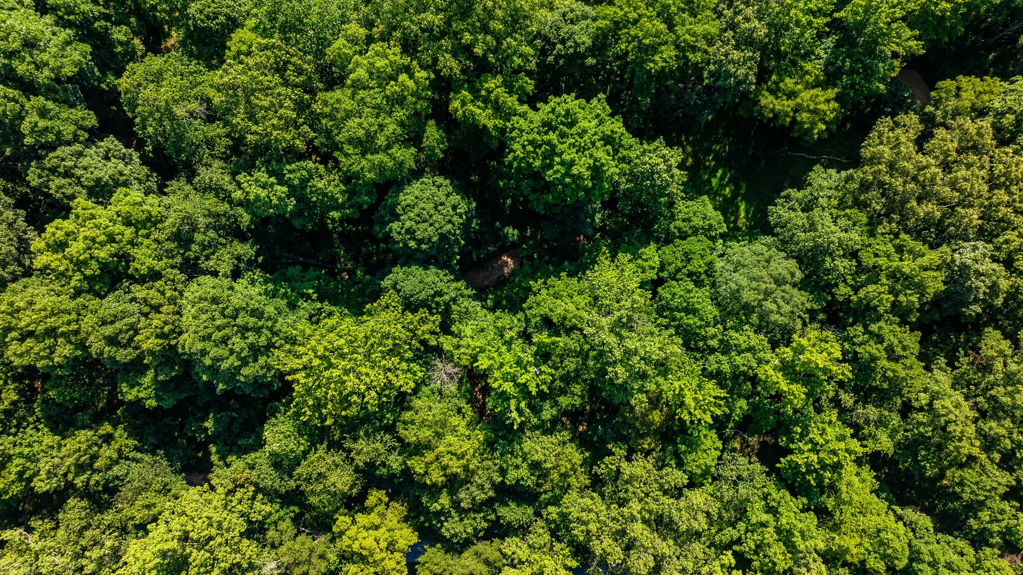 DJI_20260629164238_0085_D.jpg