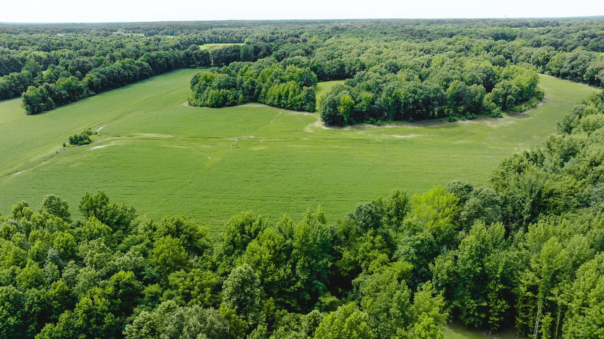 DJI_20260613180930_0022_D.jpg