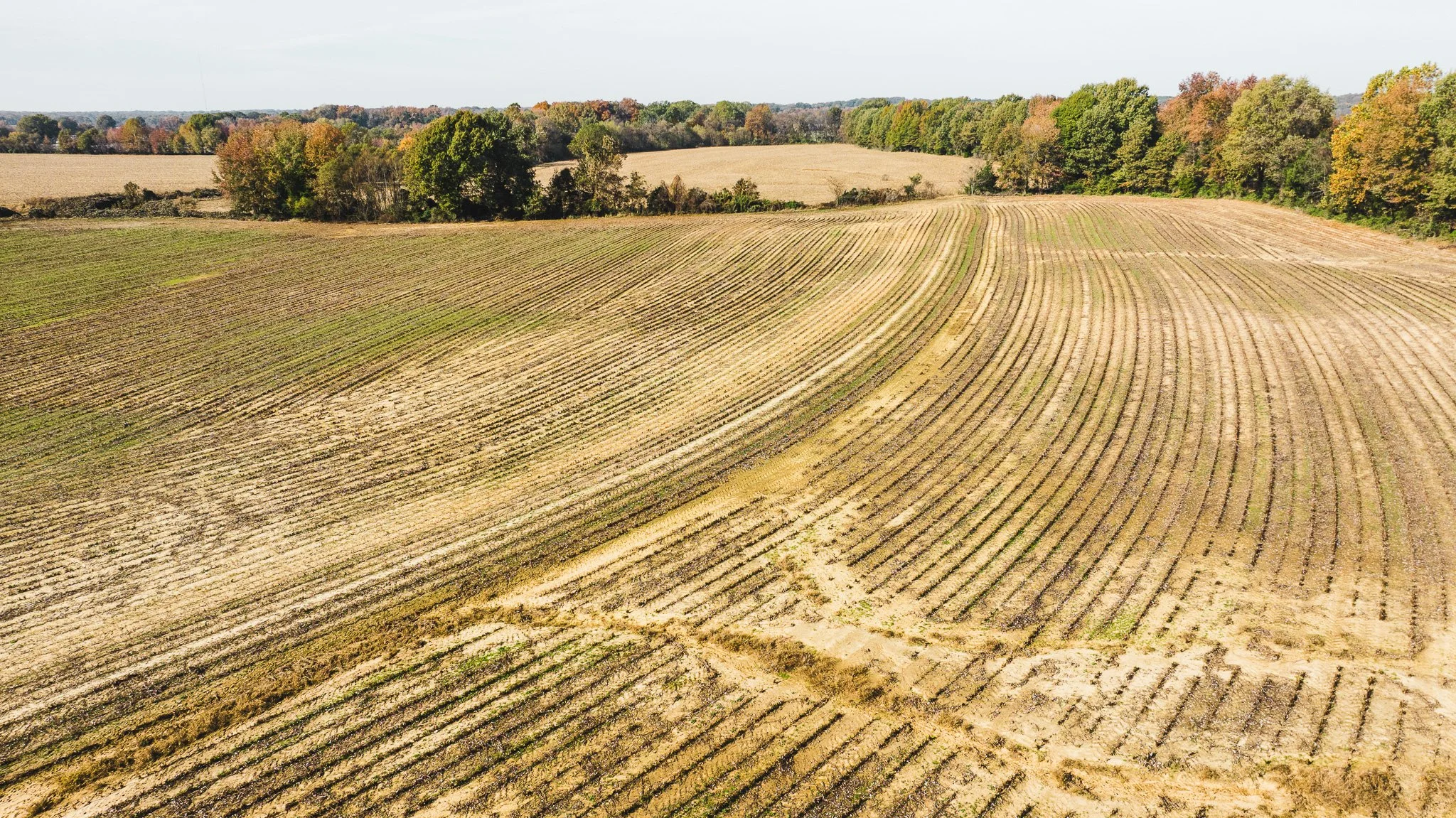 DJI_20251113095933_0016_D.jpg