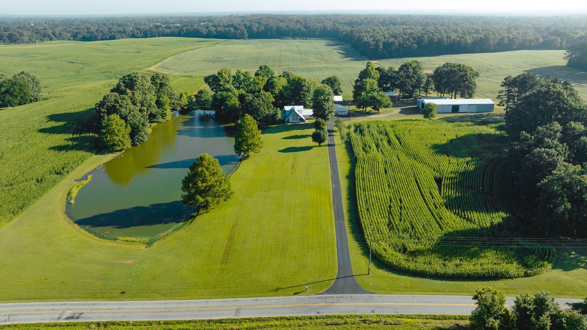 DJI_20260621150739_0003_D.jpg