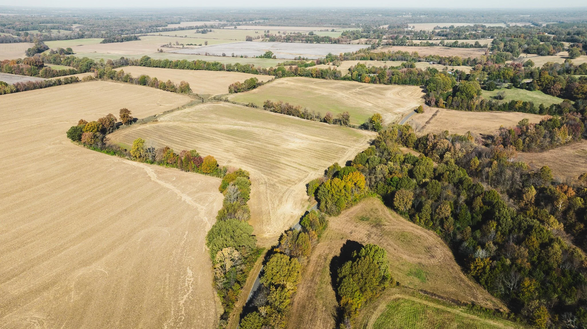 DJI_20251113095152_0001_D.jpg