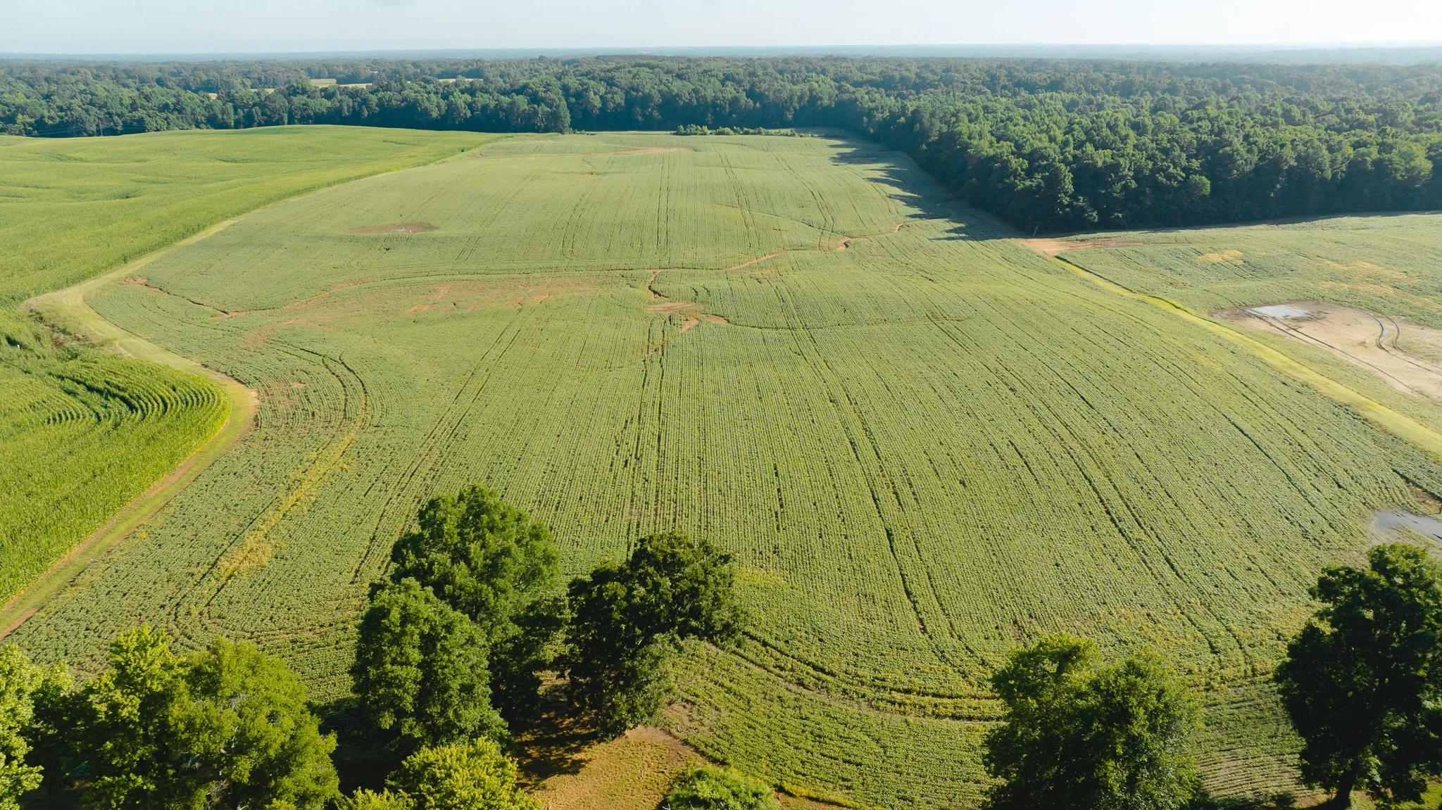 DJI_20260621152312_0036_D.jpg