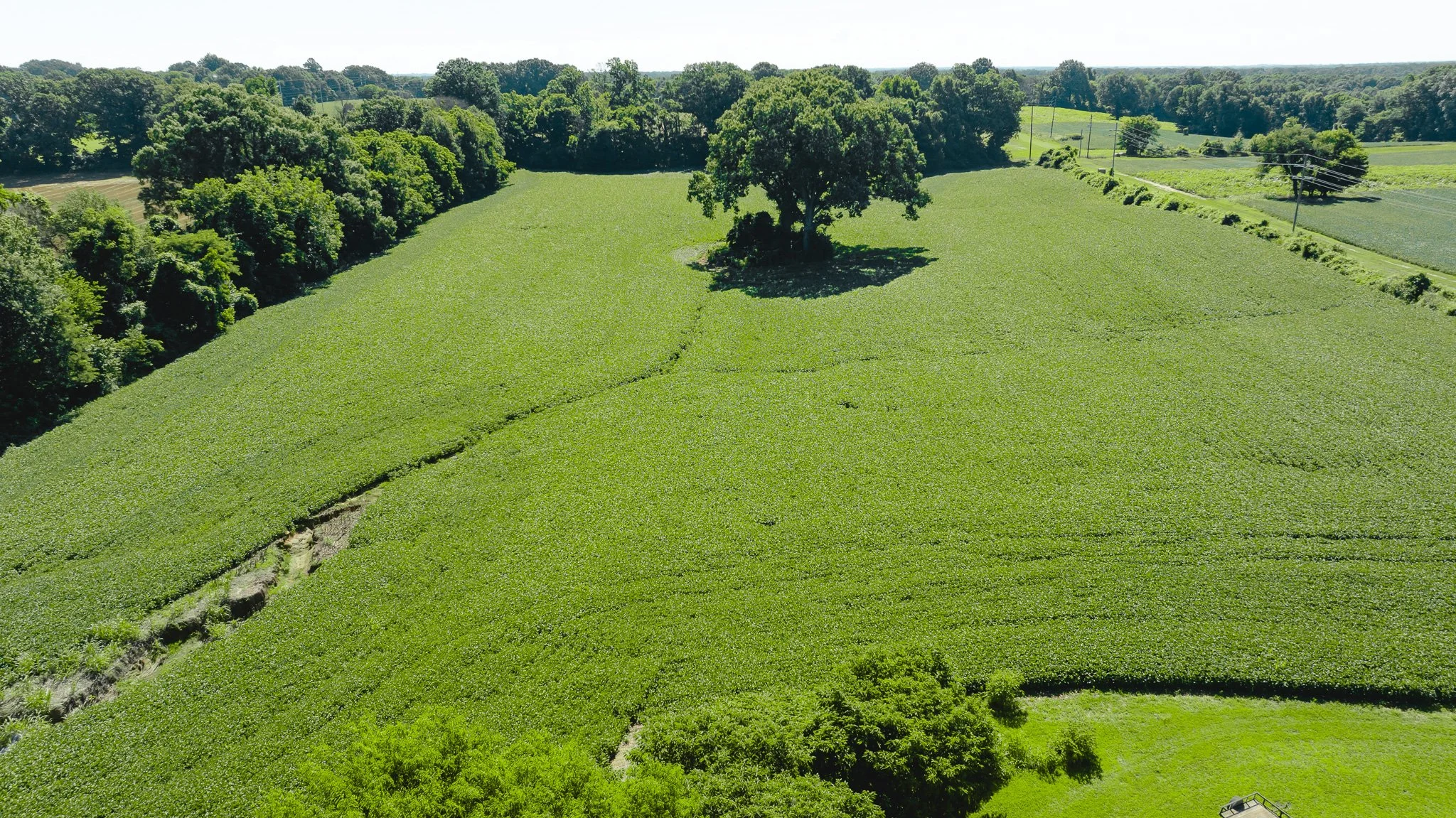DJI_20260614170334_0015_D.jpg