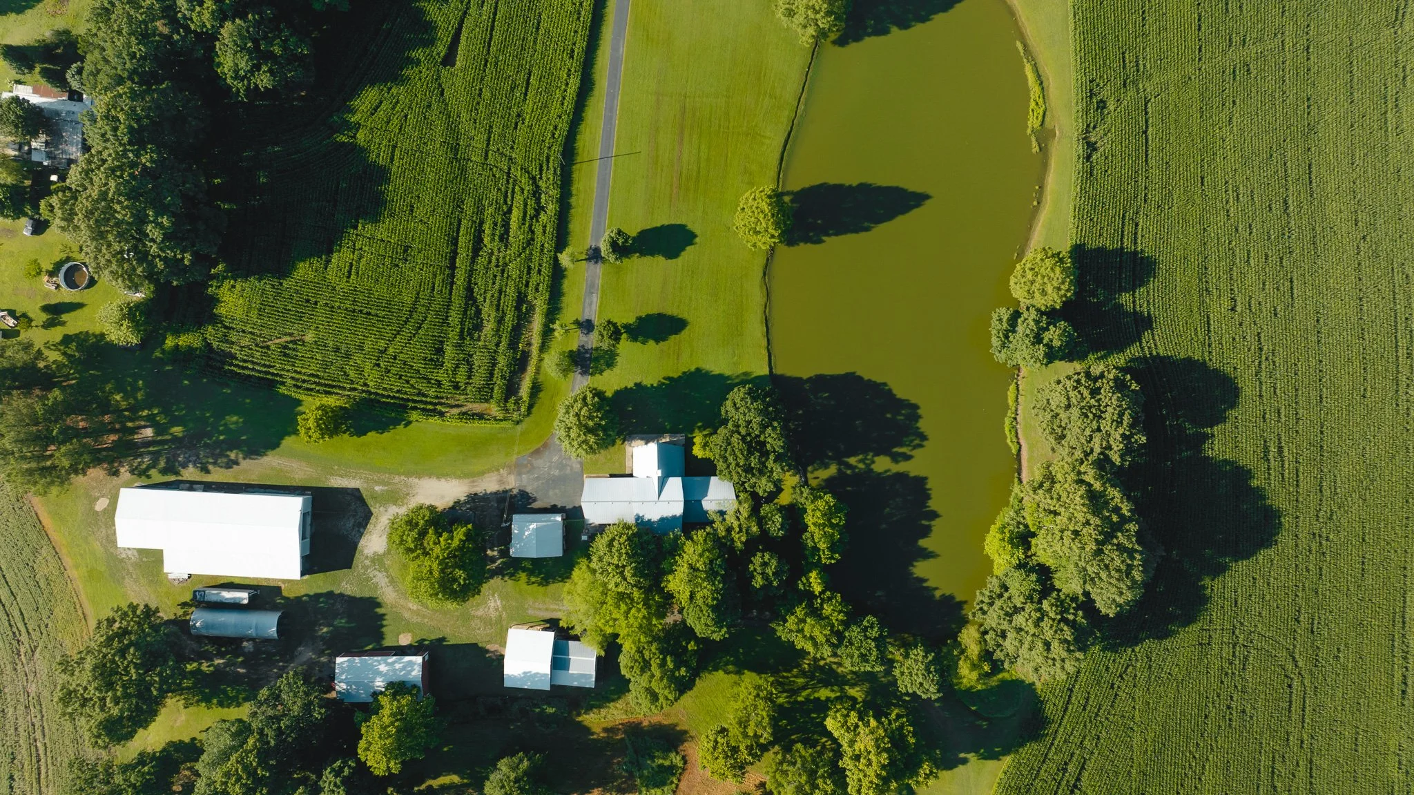 DJI_20260621152100_0035_D.jpg