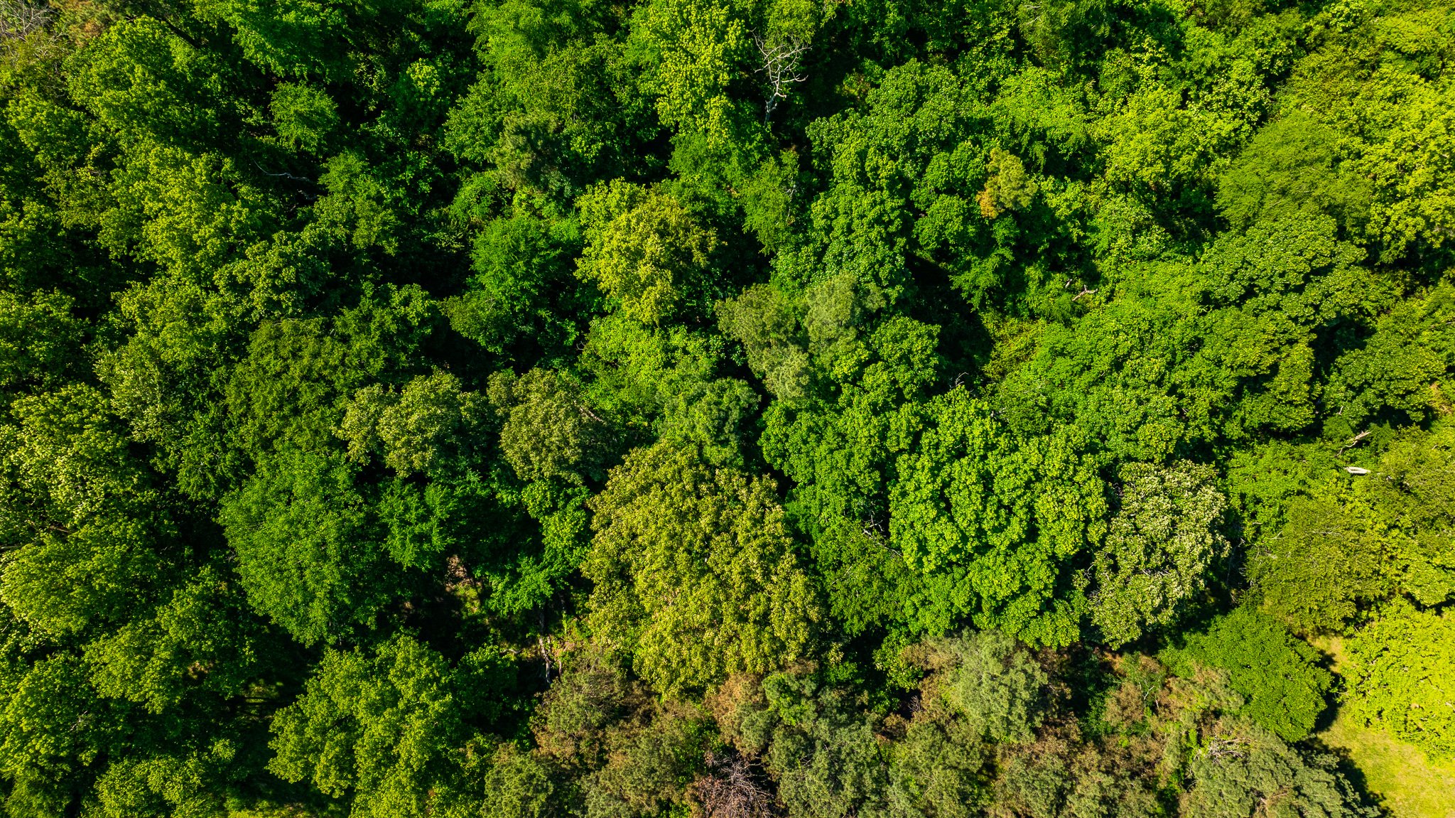 dji_fly_20260502_174802_0016_1777918953293_photo.jpg