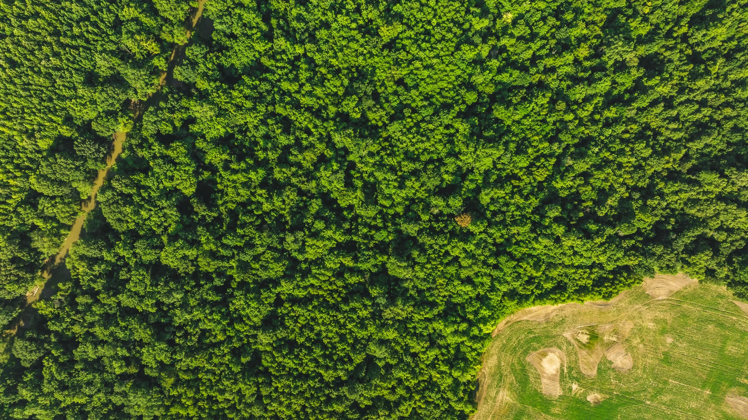 DJI_20250729084508_0007_D.jpg