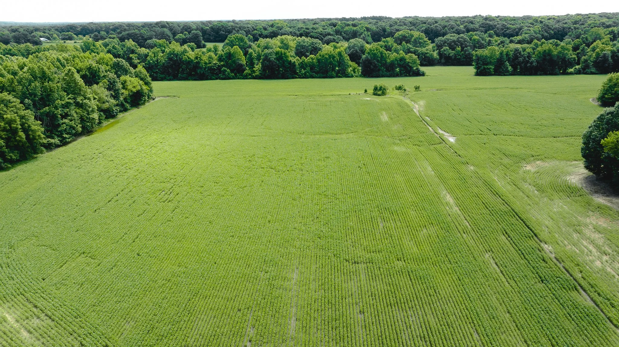 DJI_20260613181728_0038_D.jpg