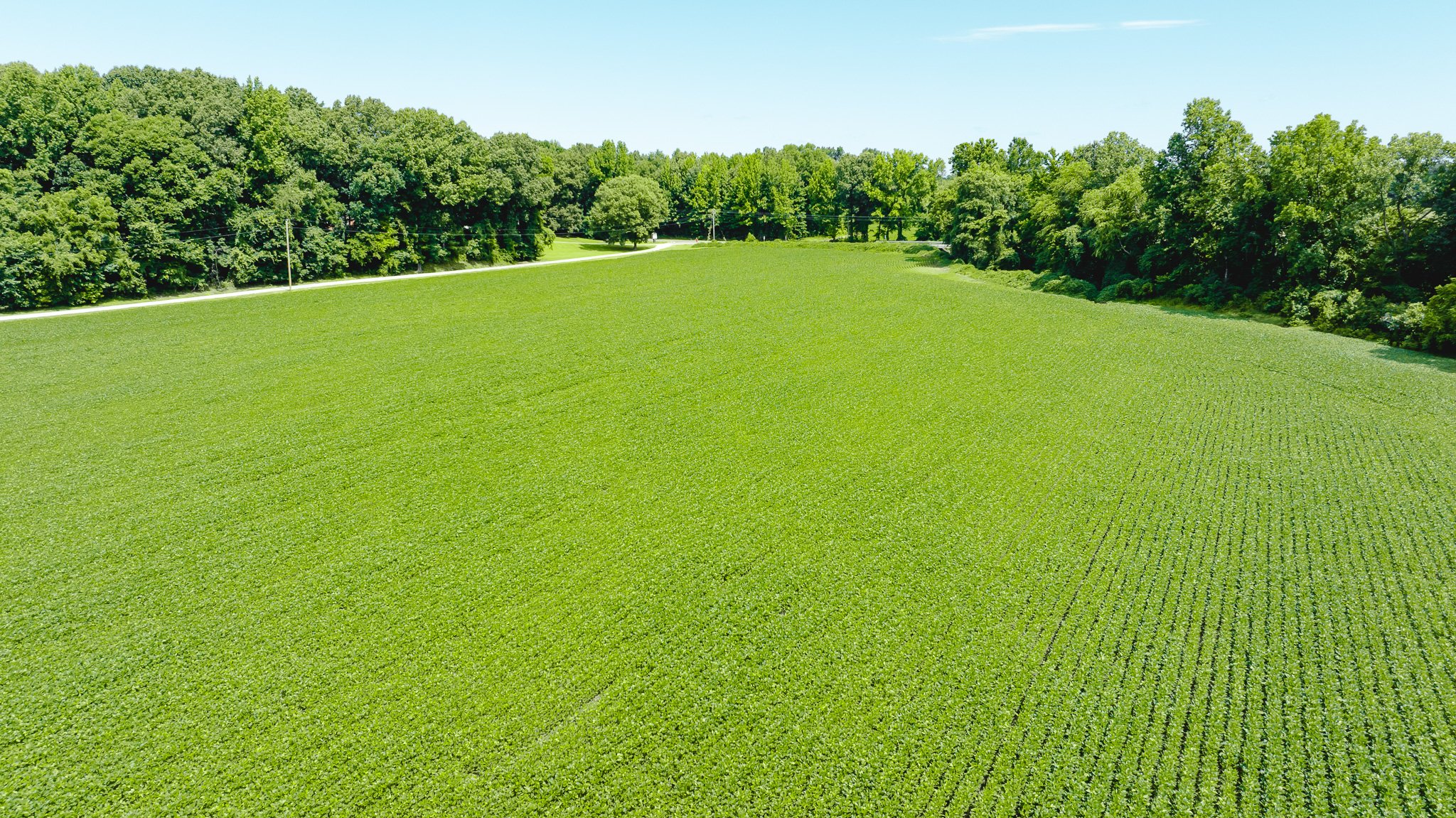 DJI_20260613180402_0008_D.jpg