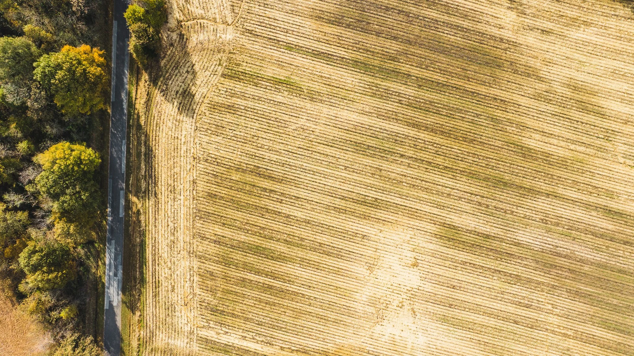 DJI_20251113100718_0022_D.jpg