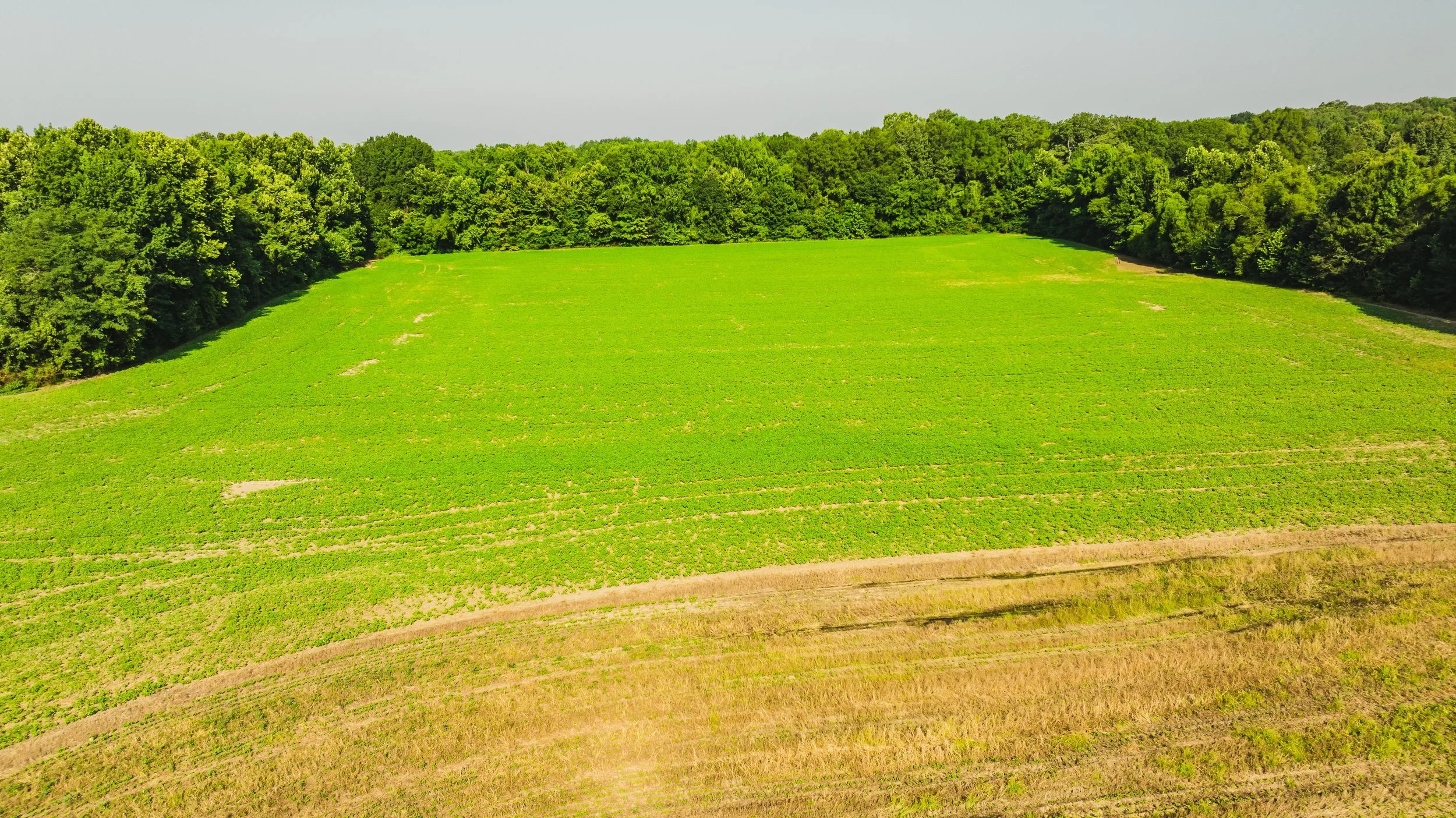 DJI_20250729090029_0036_D.jpg