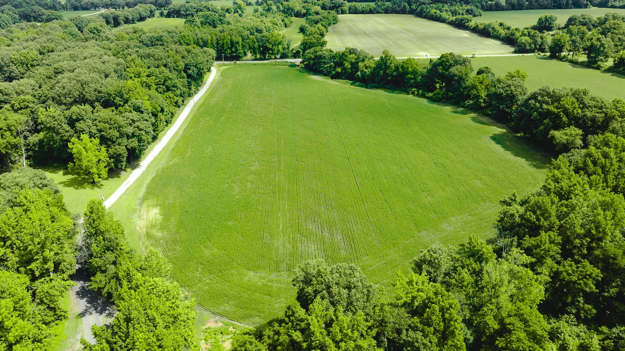 DJI_20260613180430_0009_D.jpg