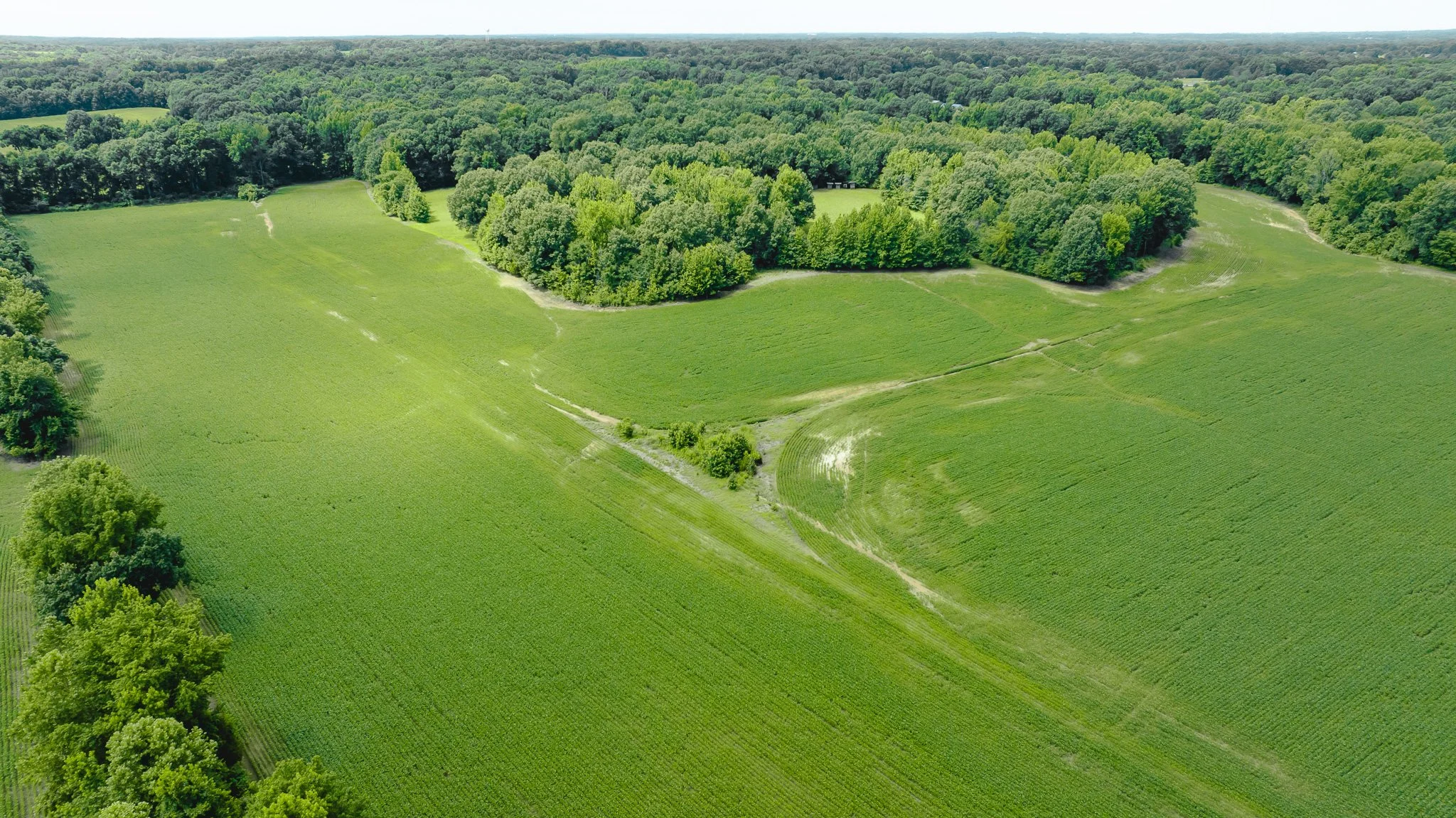 DJI_20260613181517_0029_D.jpg