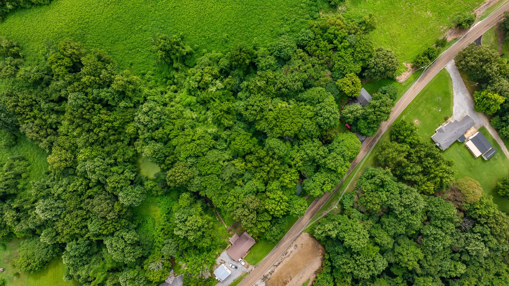 DJI_20260713172322_0159_D.jpg