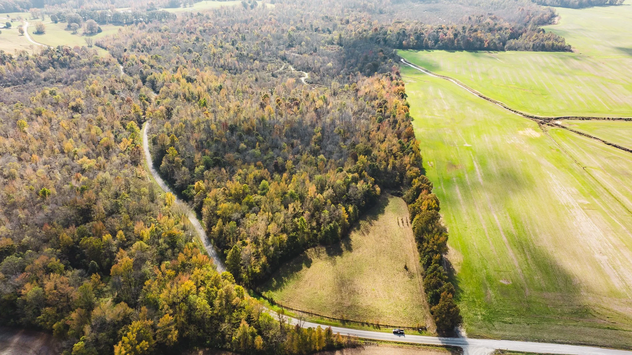 DJI_20241029114123_0001_D.jpg