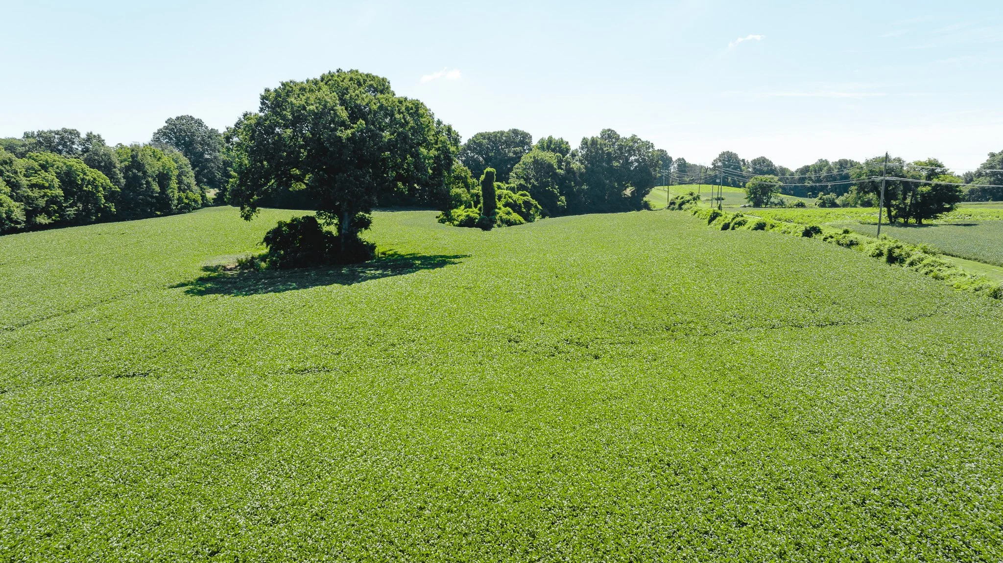 DJI_20260614170211_0010_D.jpg