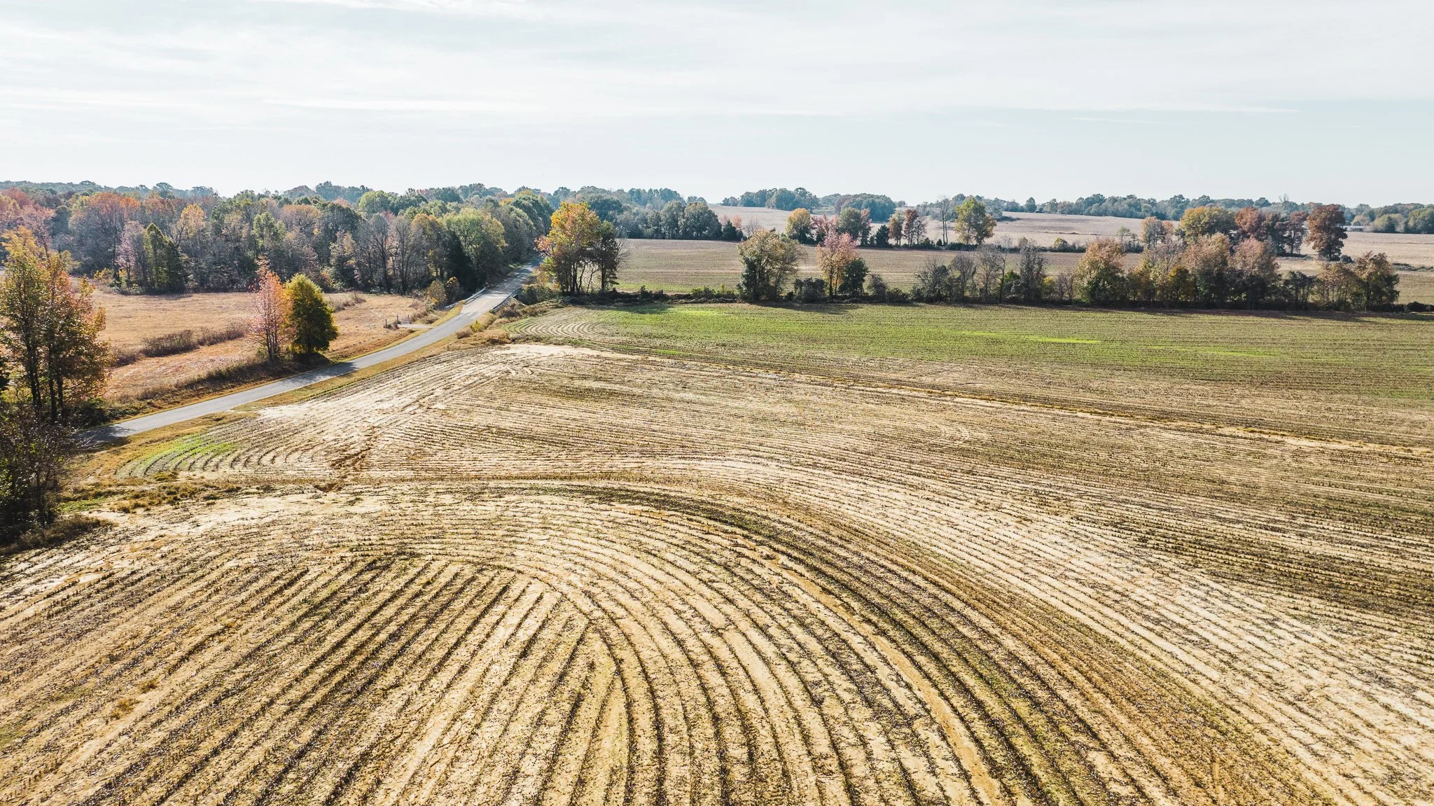 DJI_20251113100842_0025_D.jpg