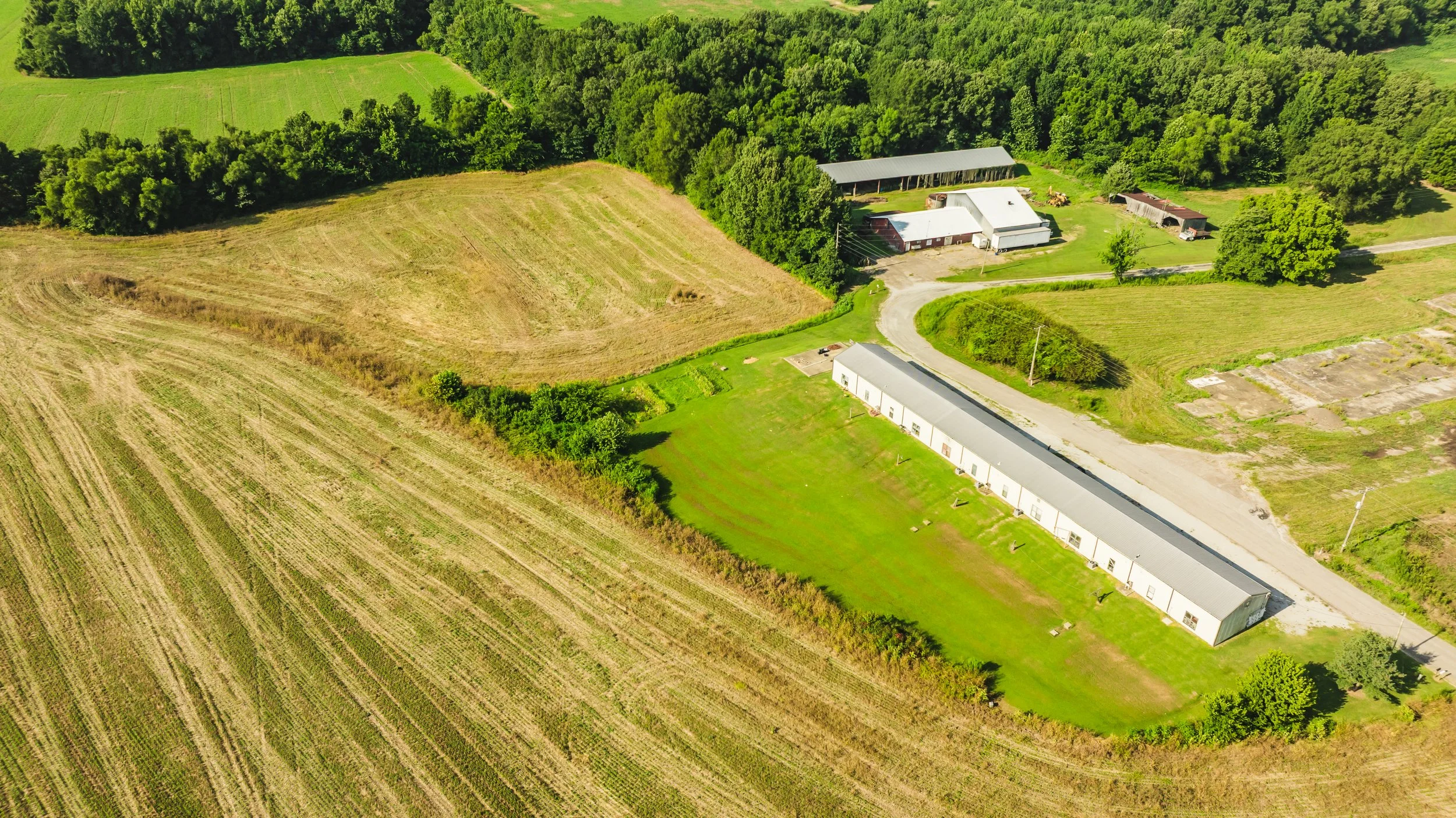 DJI_20250729085527_0024_D.jpg