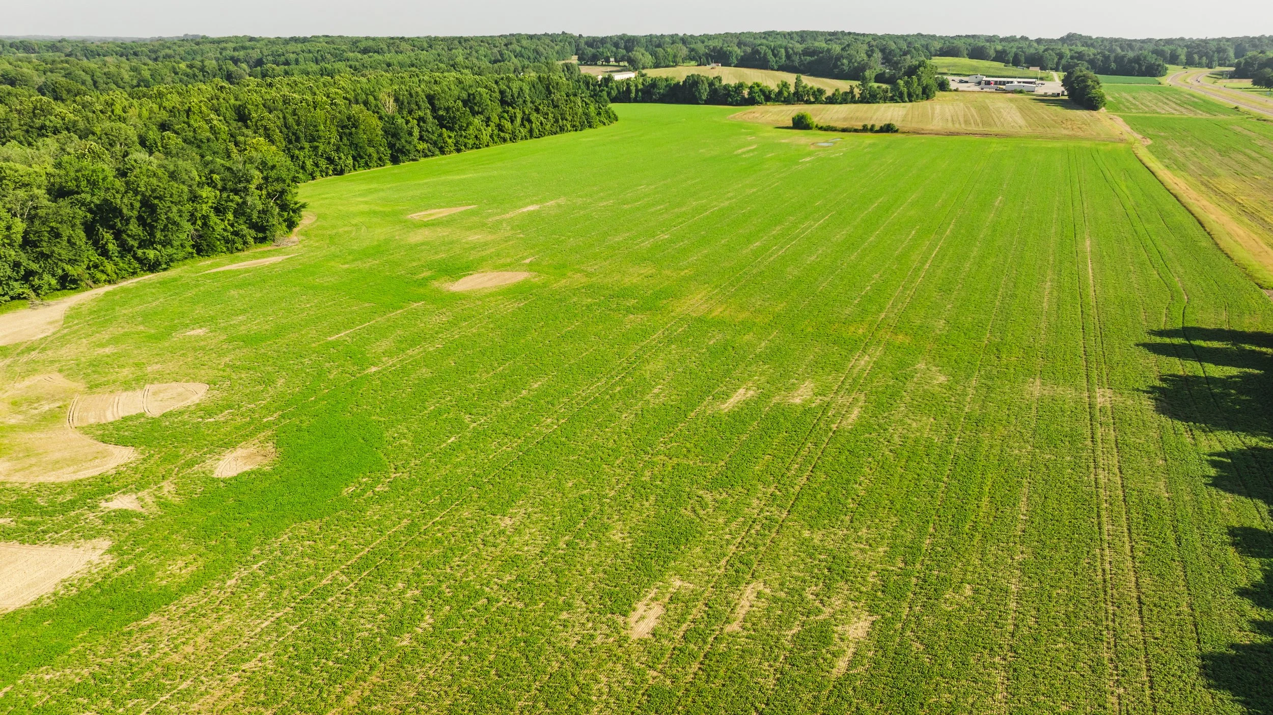 DJI_20250729084723_0012_D.jpg