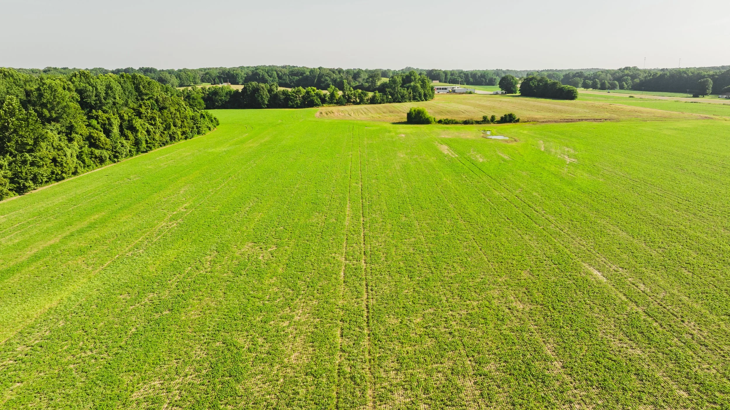 DJI_20250729085938_0034_D.jpg
