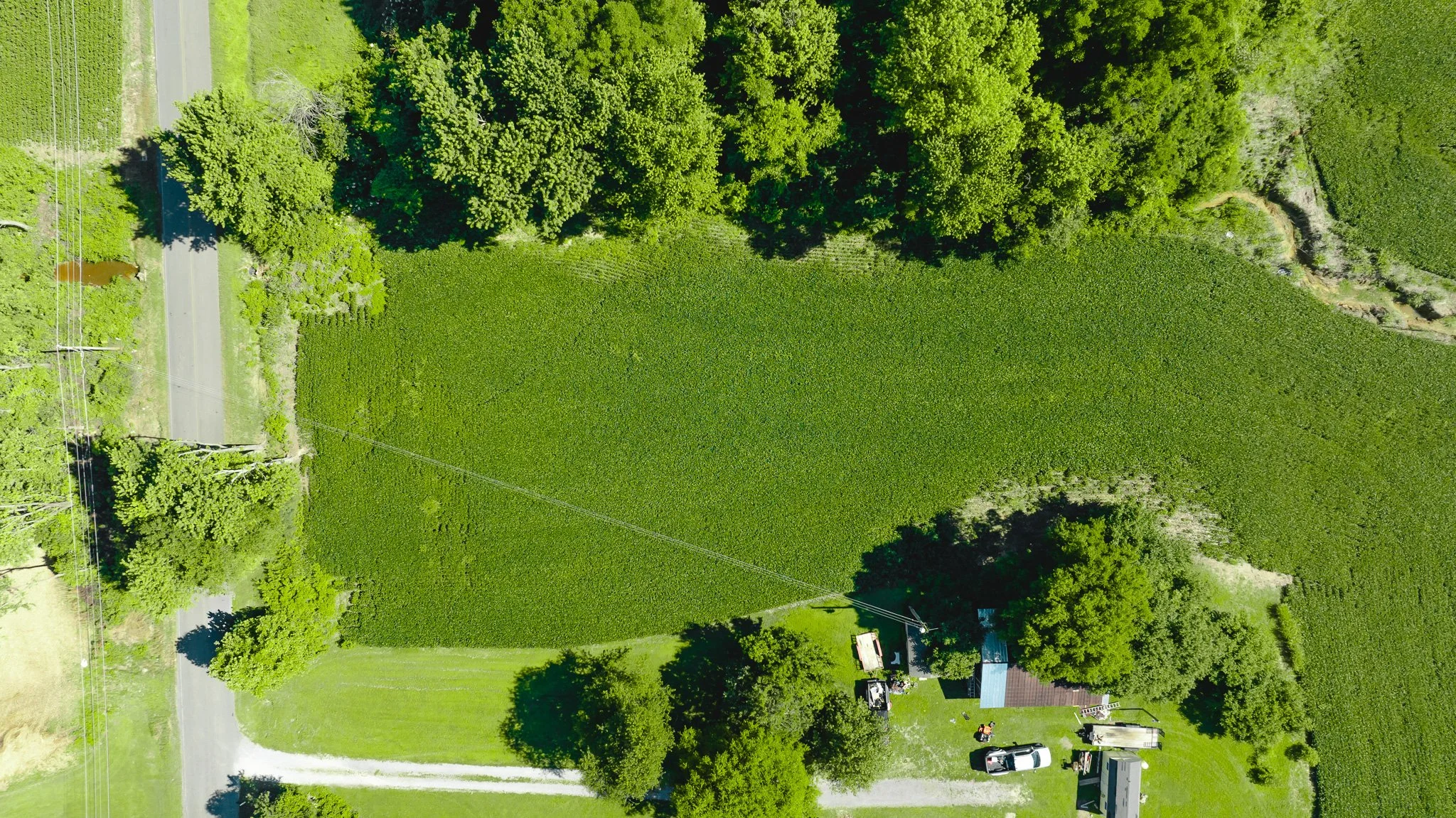 DJI_20260614170808_0027_D.jpg
