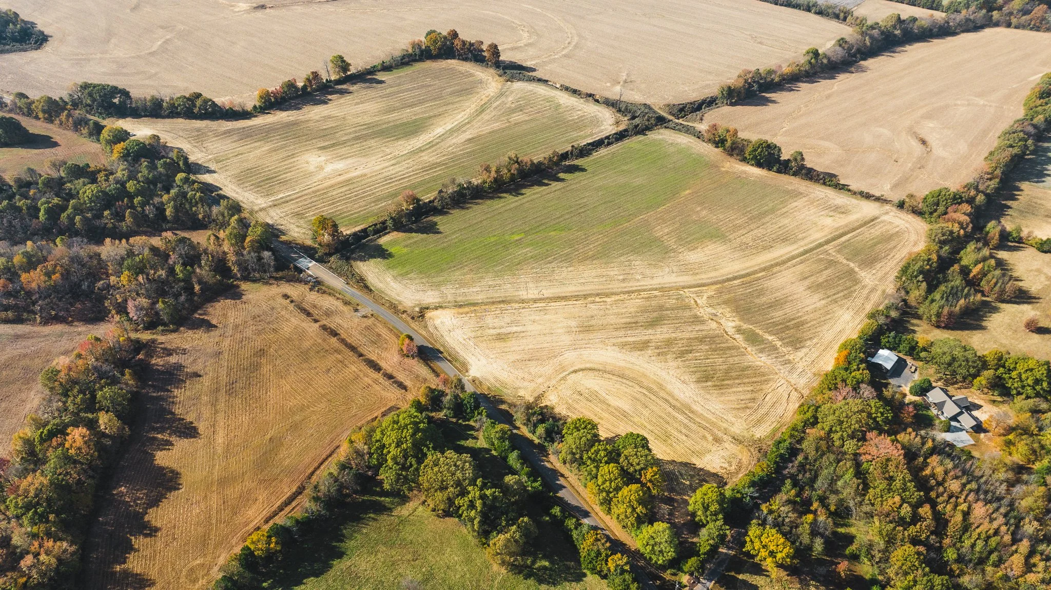 DJI_20251113095835_0015_D-2.jpg