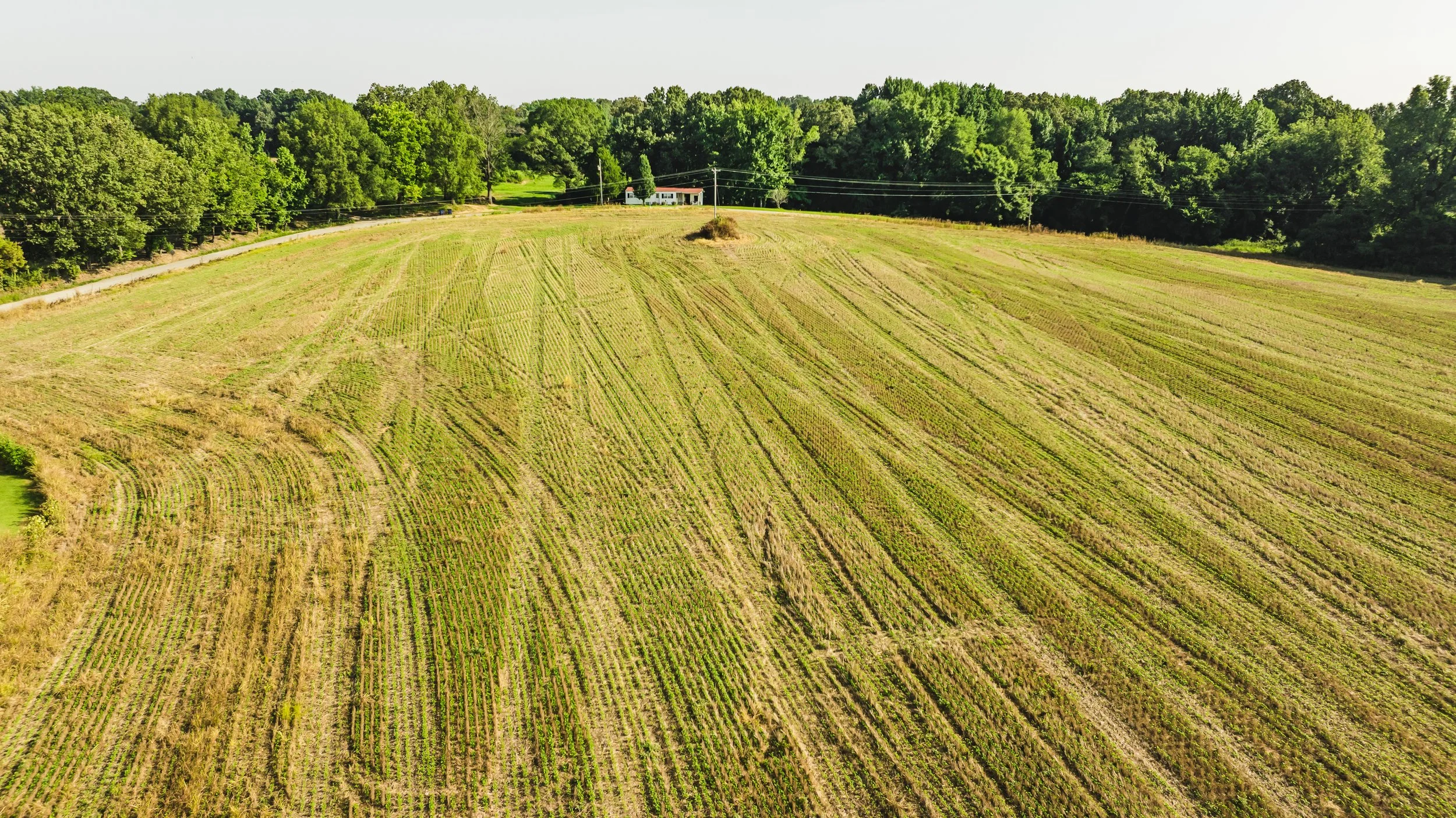 DJI_20250729085216_0019_D.jpg