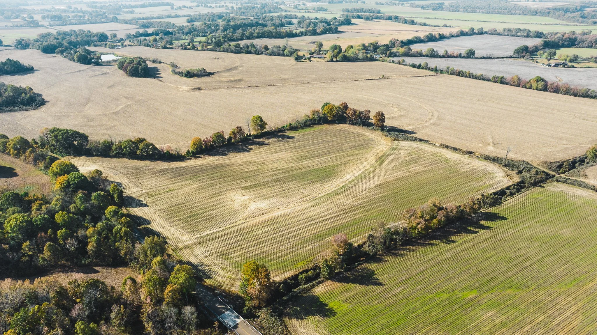 DJI_20251113095250_0003_D.jpg