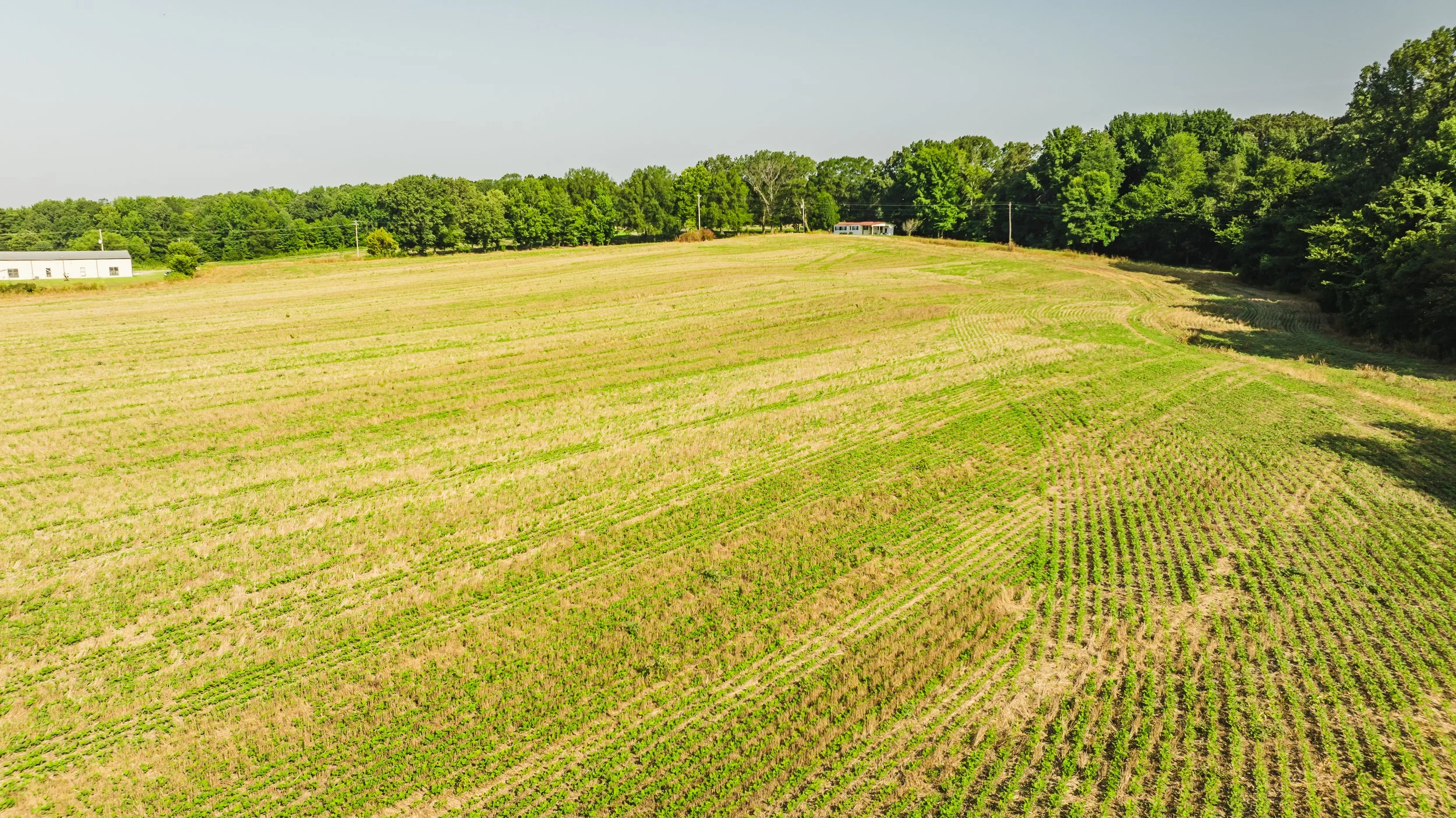 DJI_20250729090158_0041_D.jpg