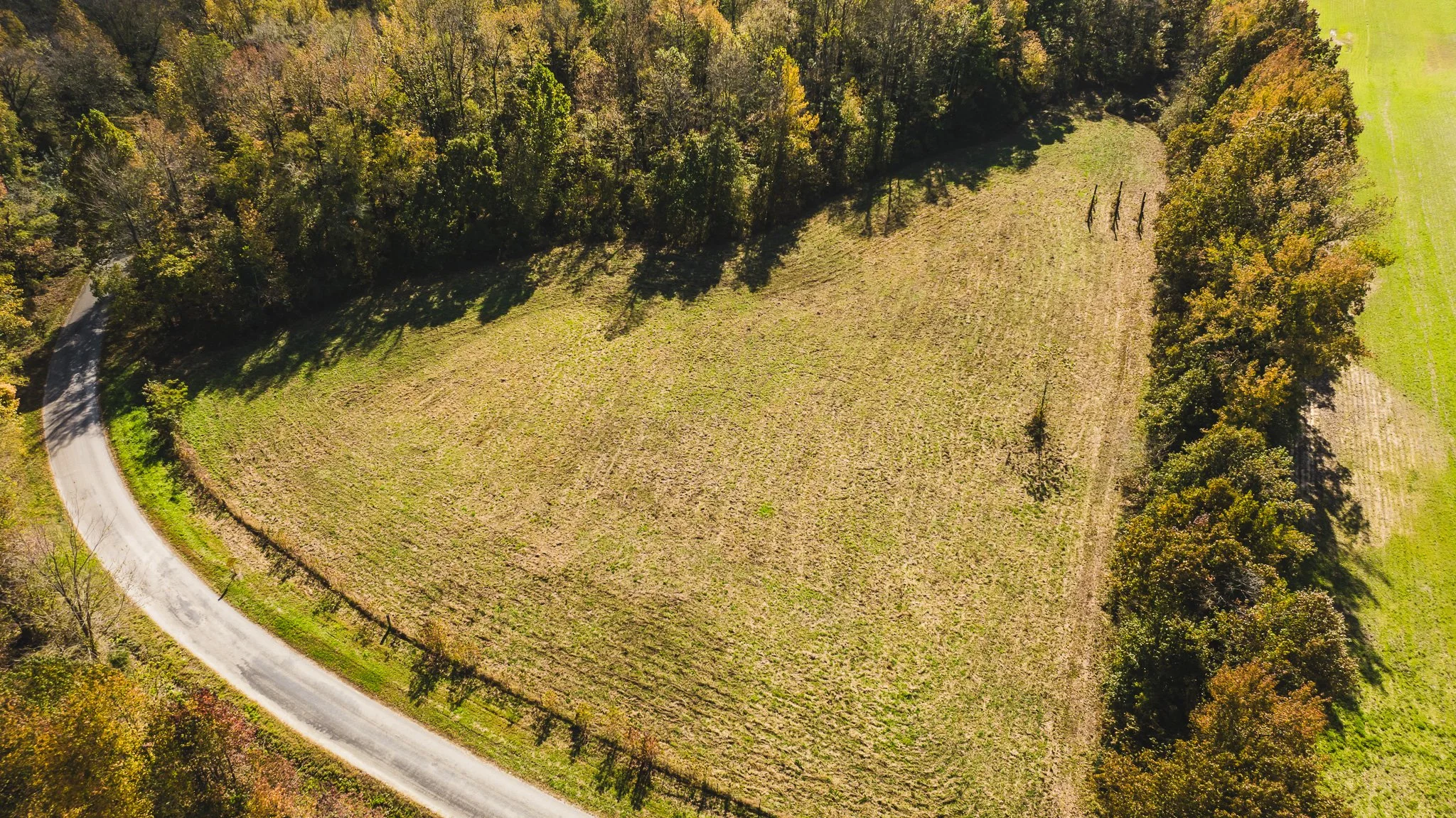 DJI_20241029115349_0016_D.jpg