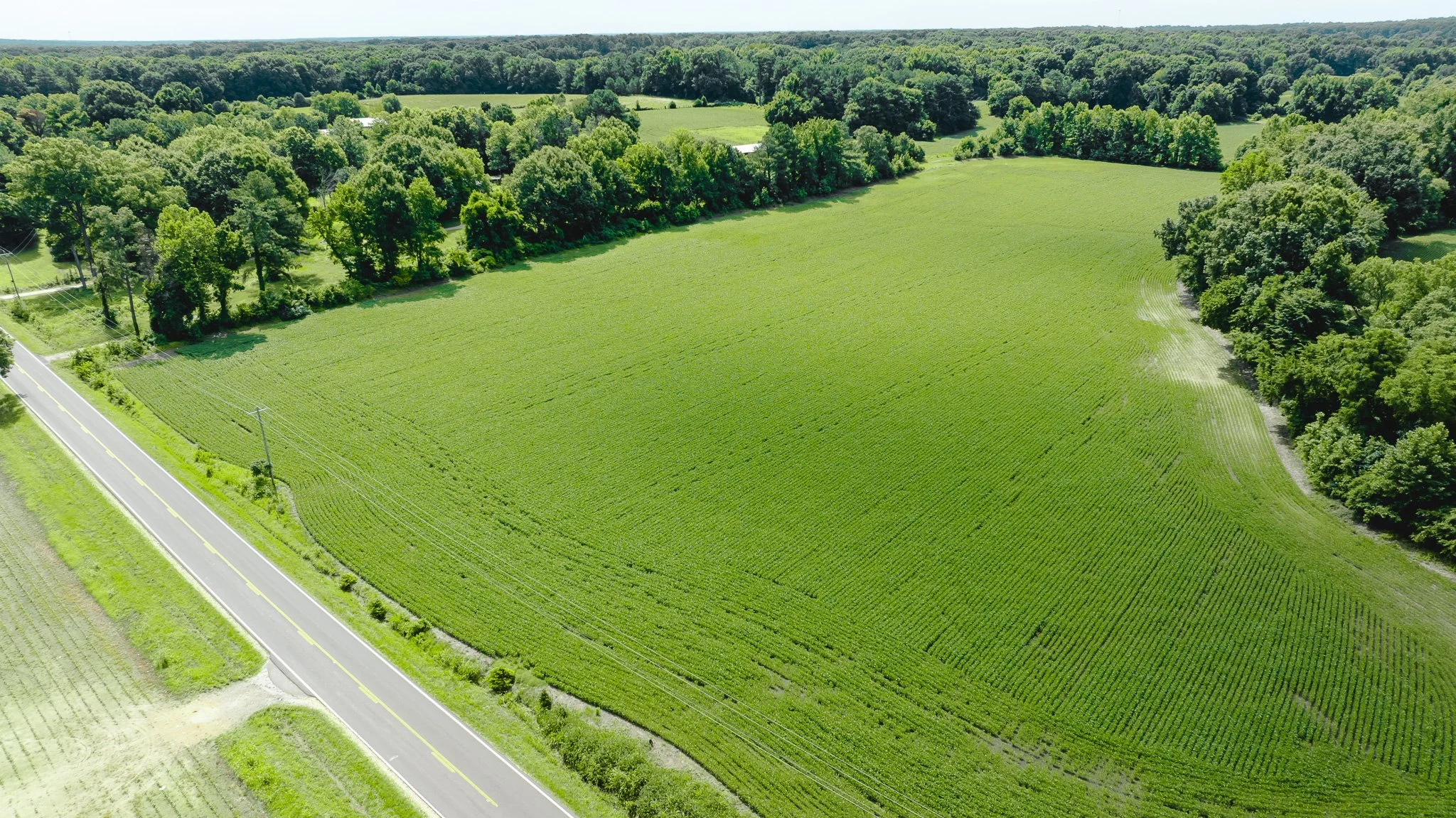 DJI_20260613180626_0015_D.jpg