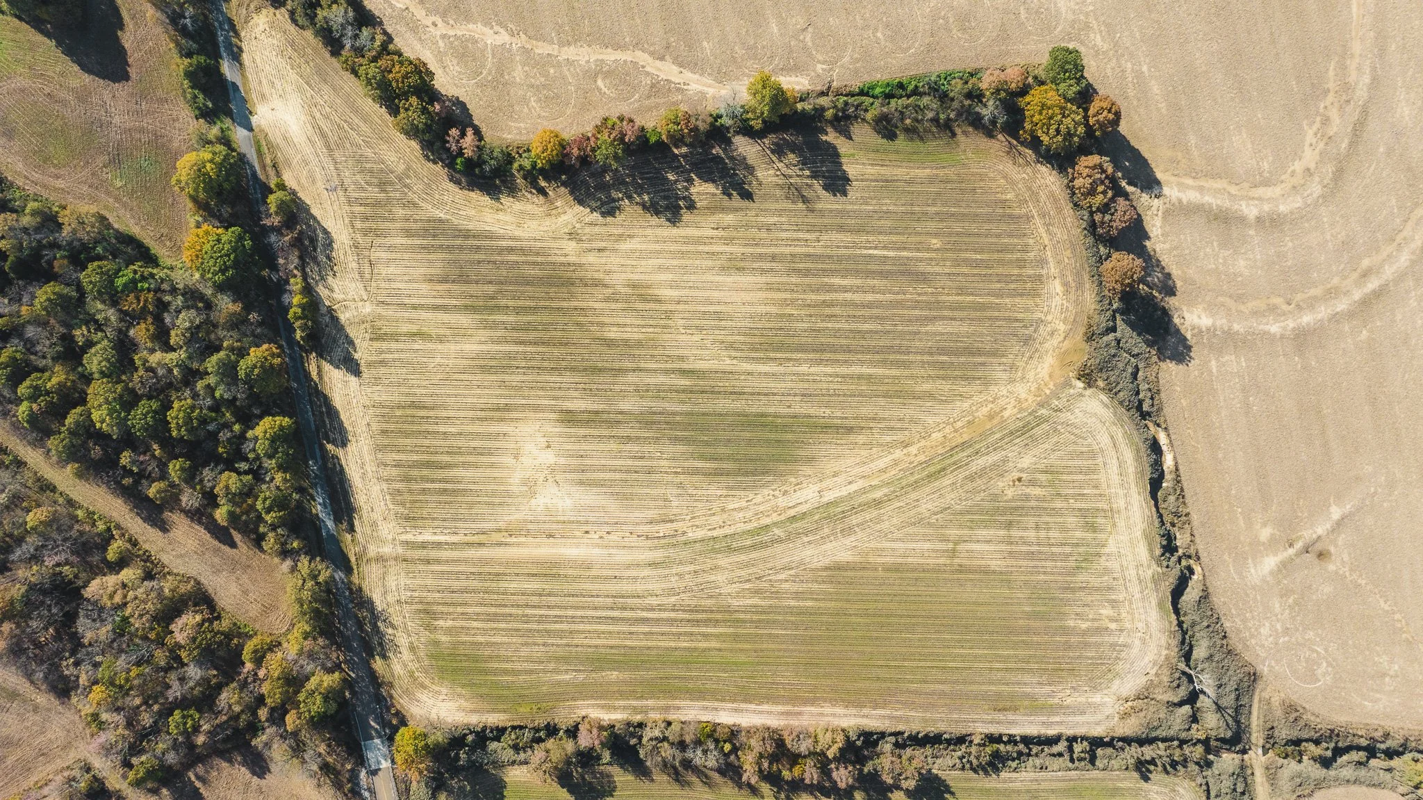 DJI_20251113095333_0004_D.jpg