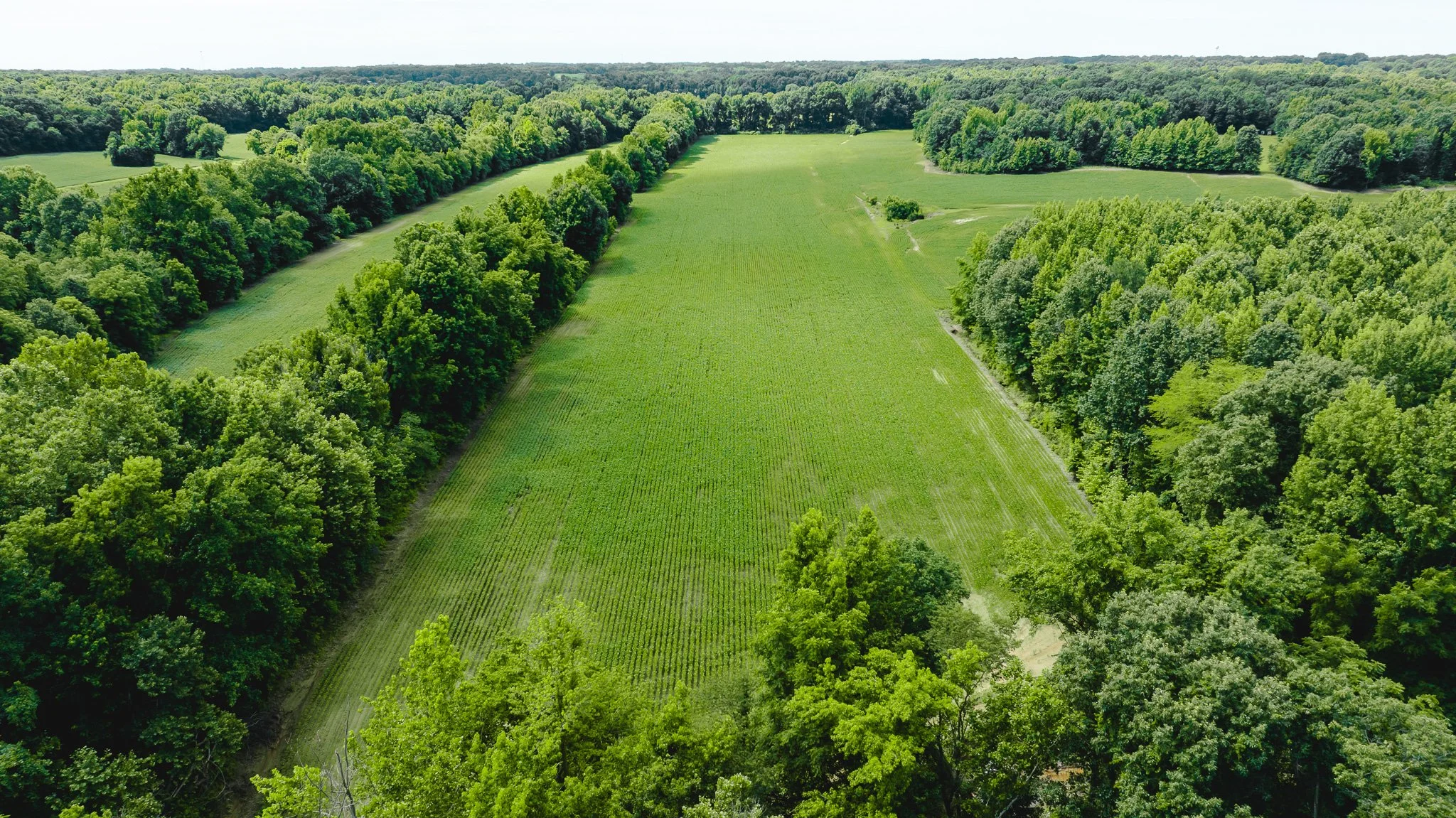 DJI_20260613180834_0018_D.jpg