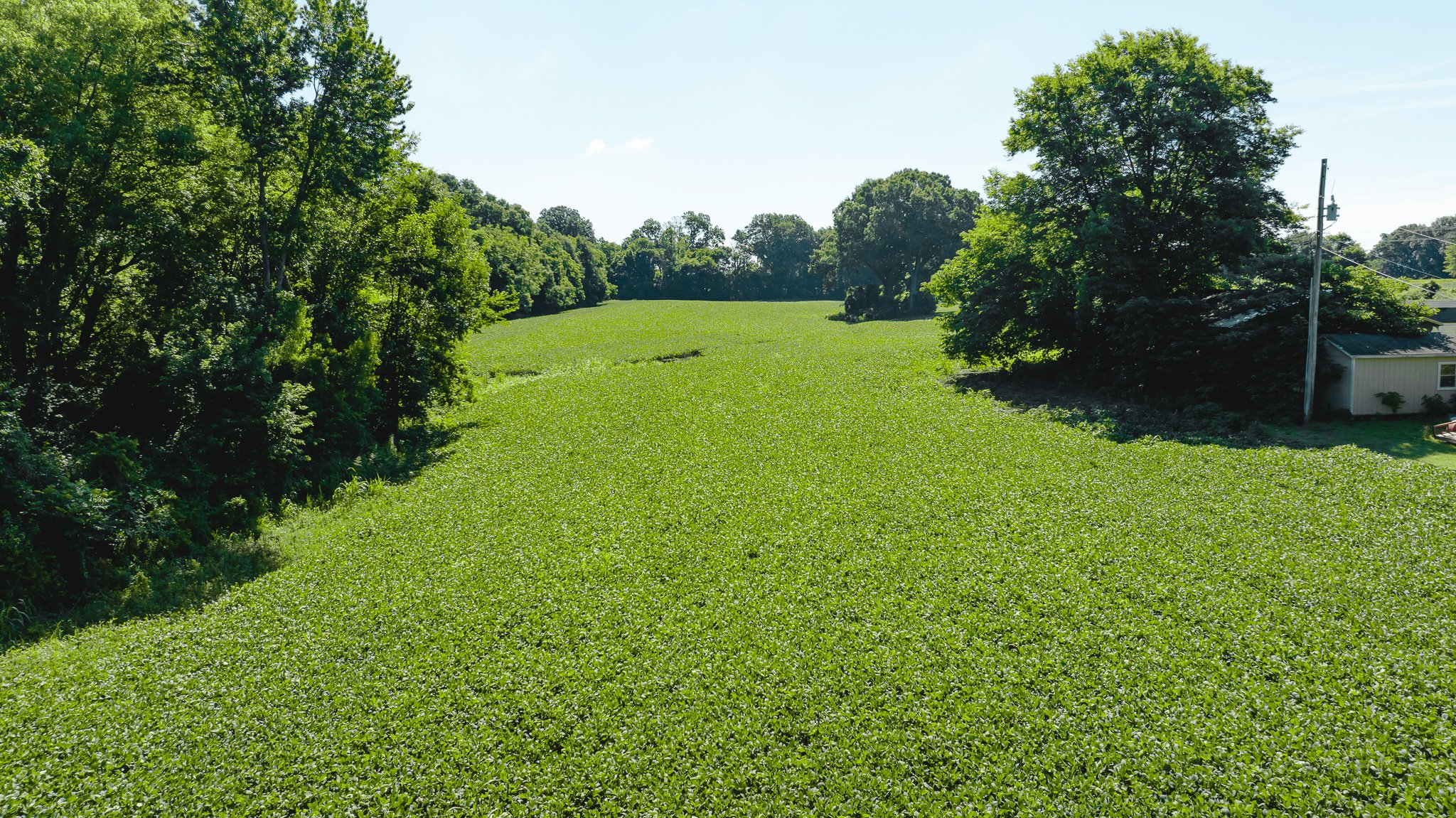 DJI_20260614170250_0012_D.jpg