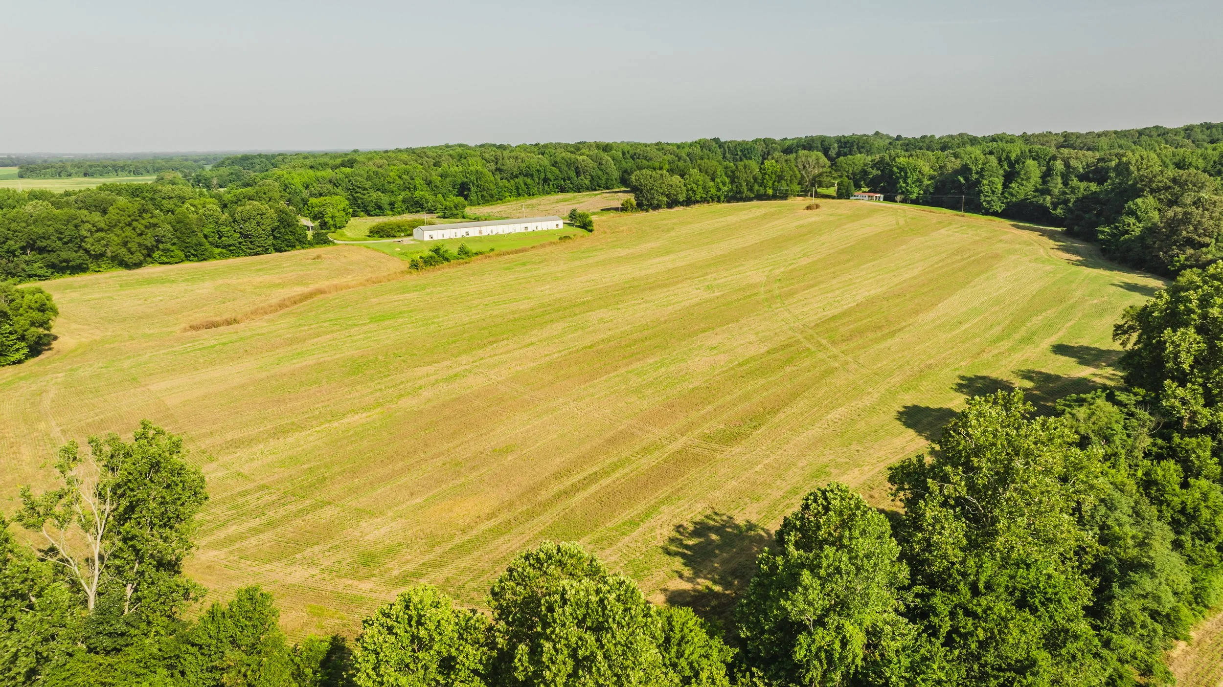 DJI_20250729090110_0038_D.jpg