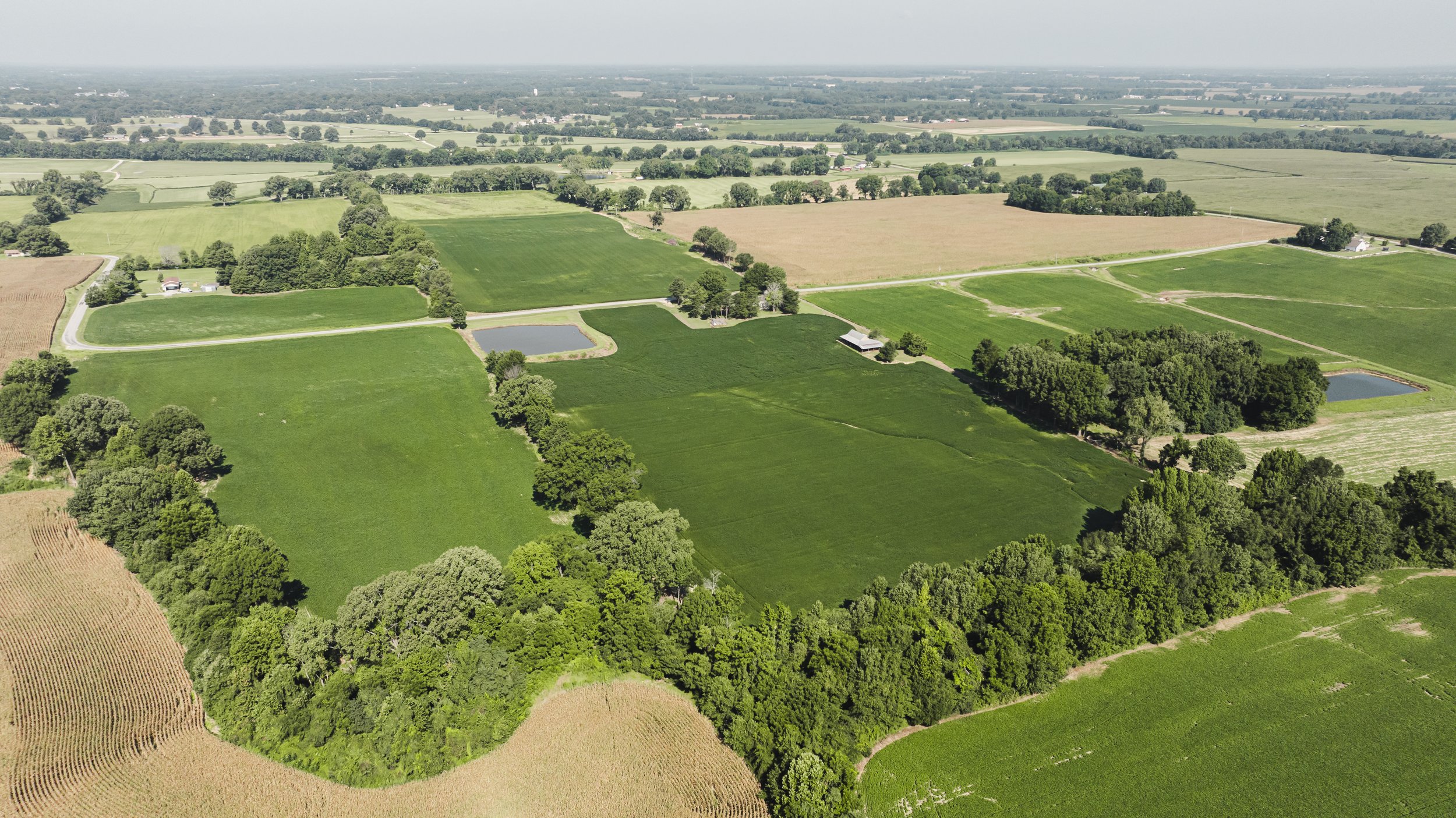 DJI_20240819092324_0037_D.jpg