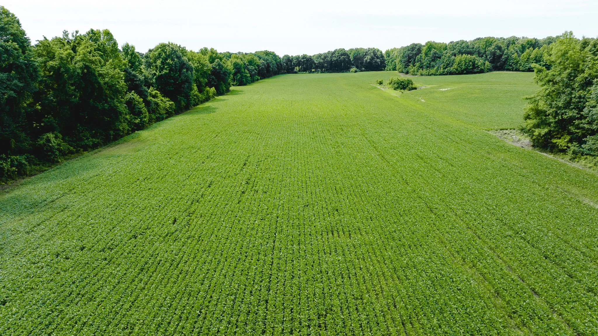 DJI_20260613180852_0020_D.jpg
