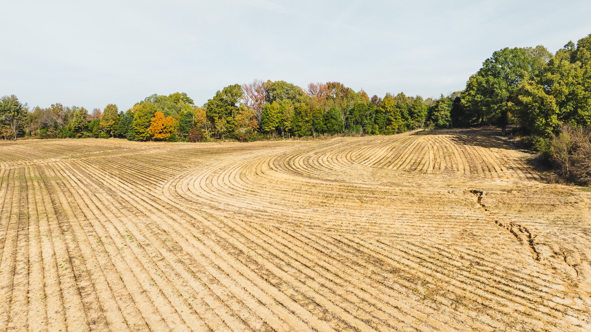 DJI_20251113100051_0020_D.jpg