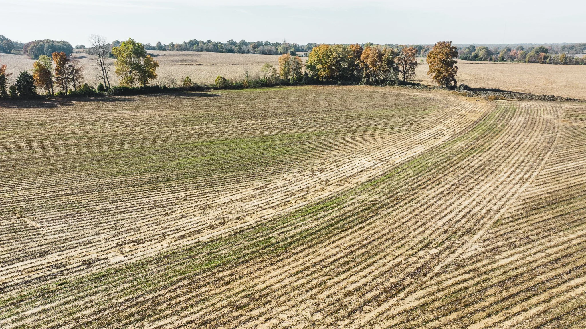 DJI_20251113095458_0007_D.jpg
