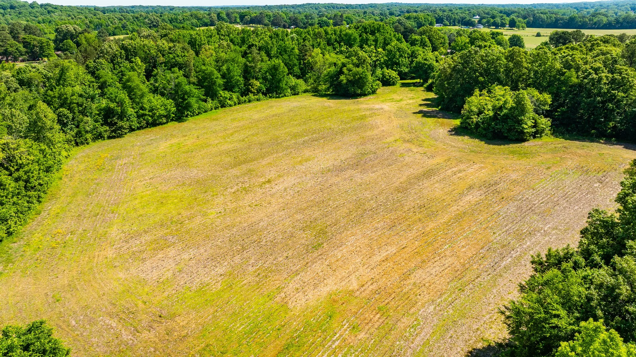 dji_fly_20260502_174654_0014_1777918954066_photo.jpg