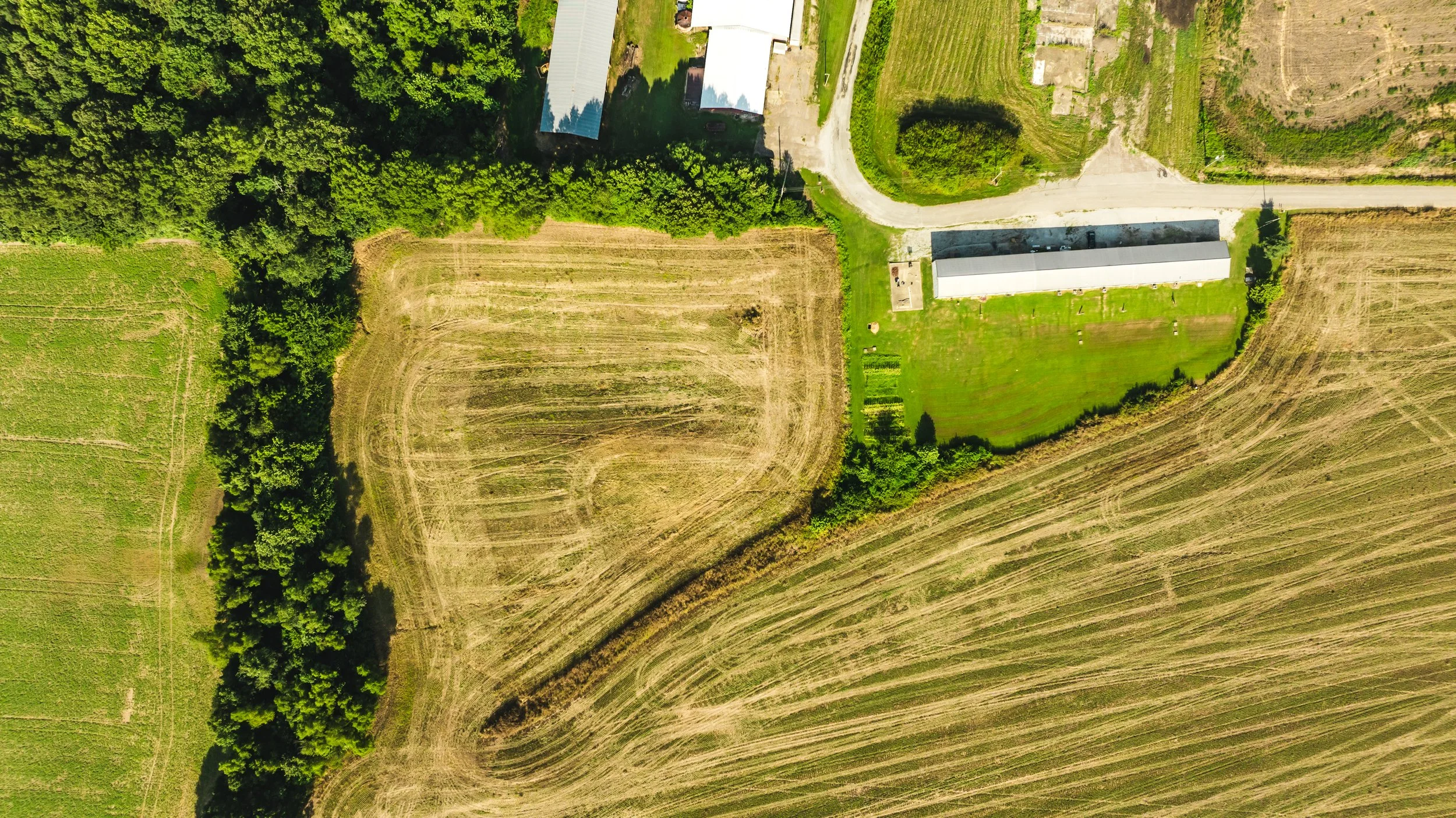 DJI_20250729085450_0023_D.jpg