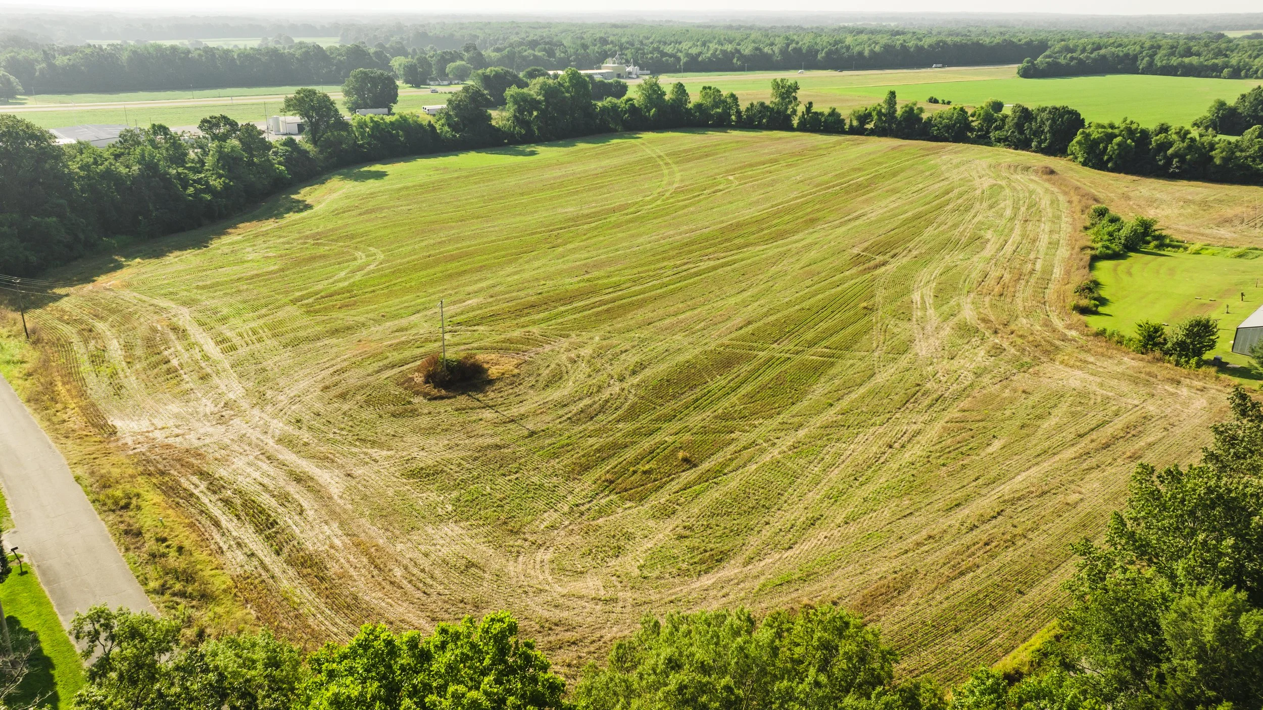 DJI_20250729085011_0018_D.jpg