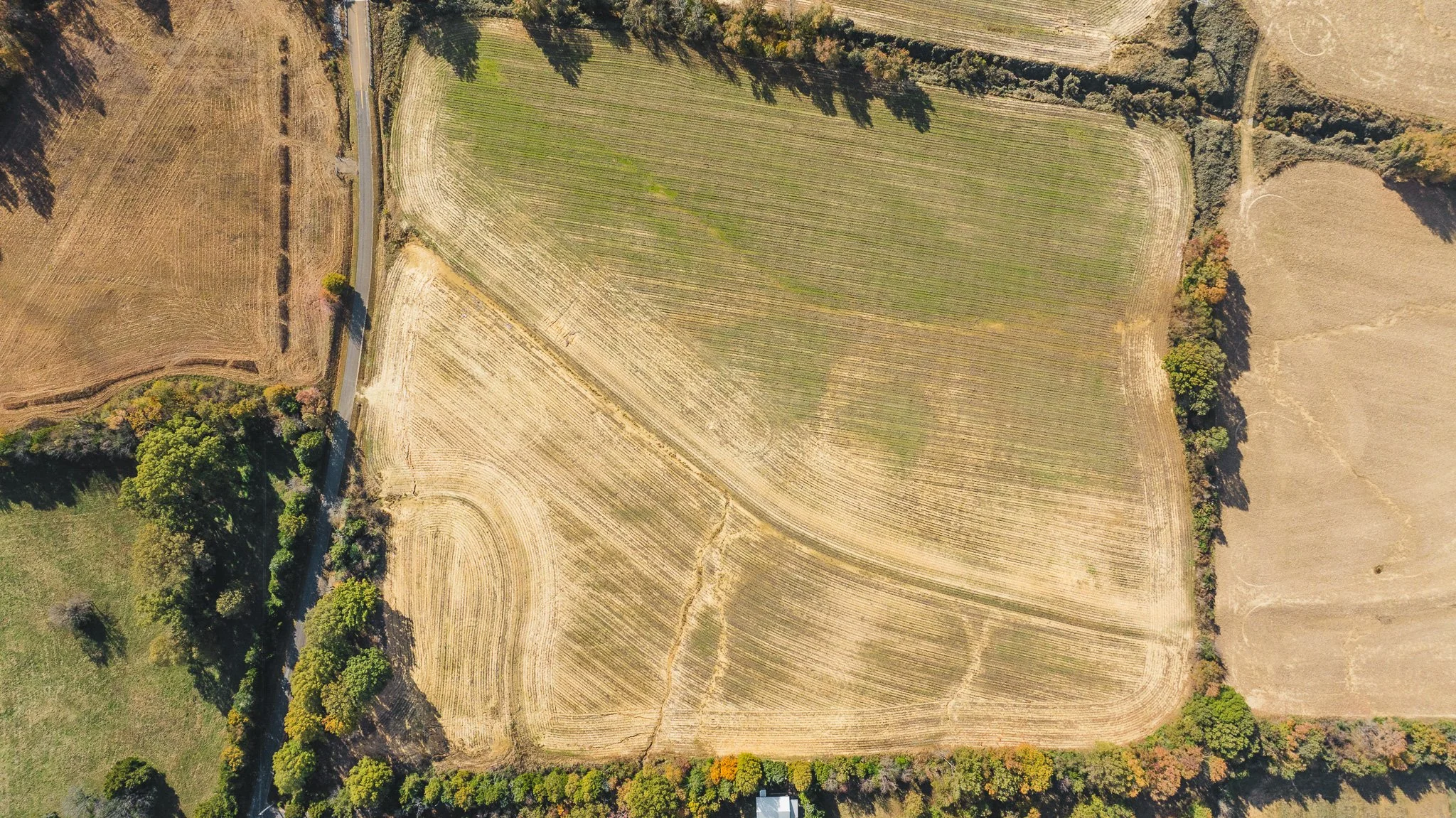 DJI_20251113095804_0014_D.jpg